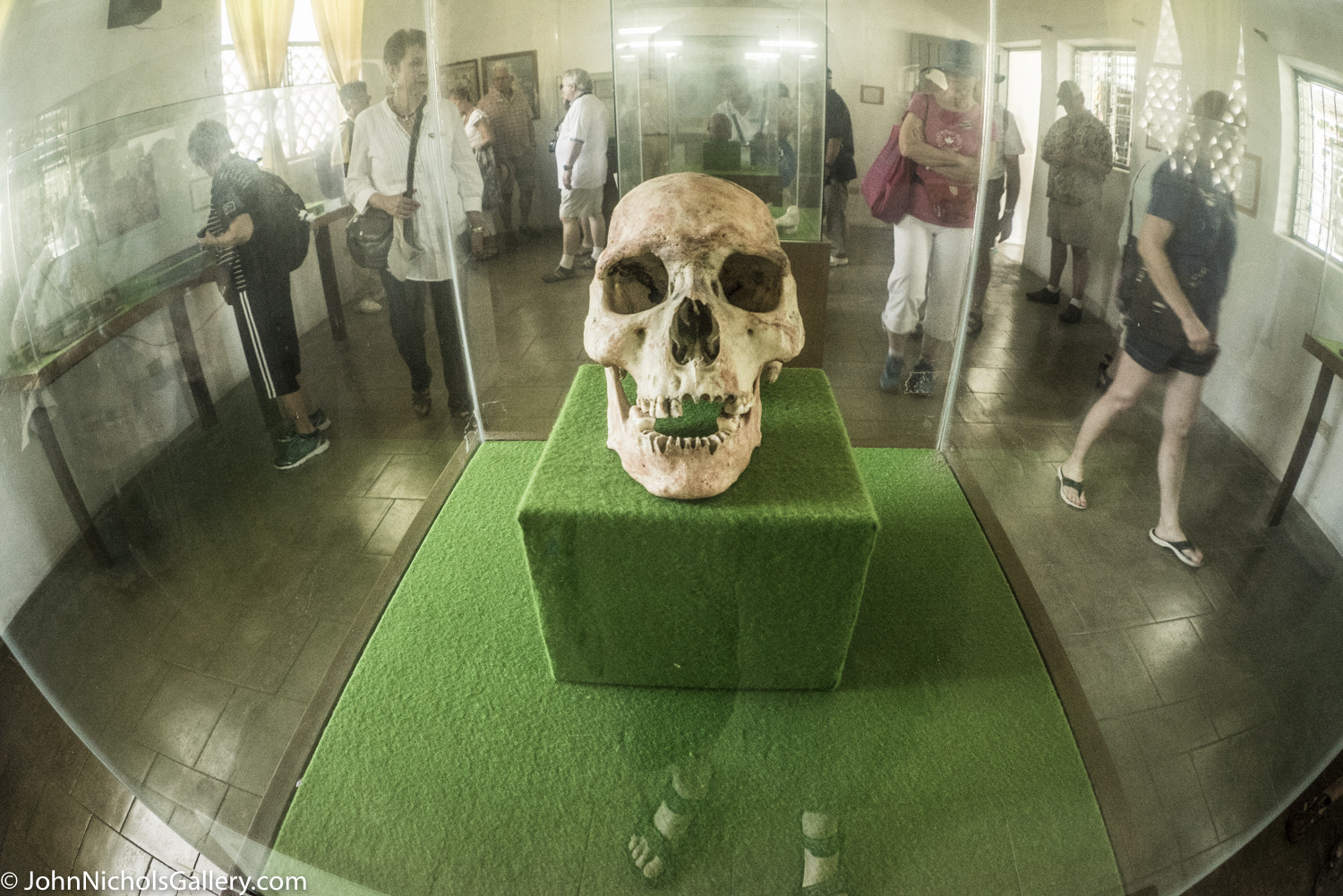 Sony a7R + FE 16mm F3.5 Fisheye sample photo. Panama canal cruise nov dec photography