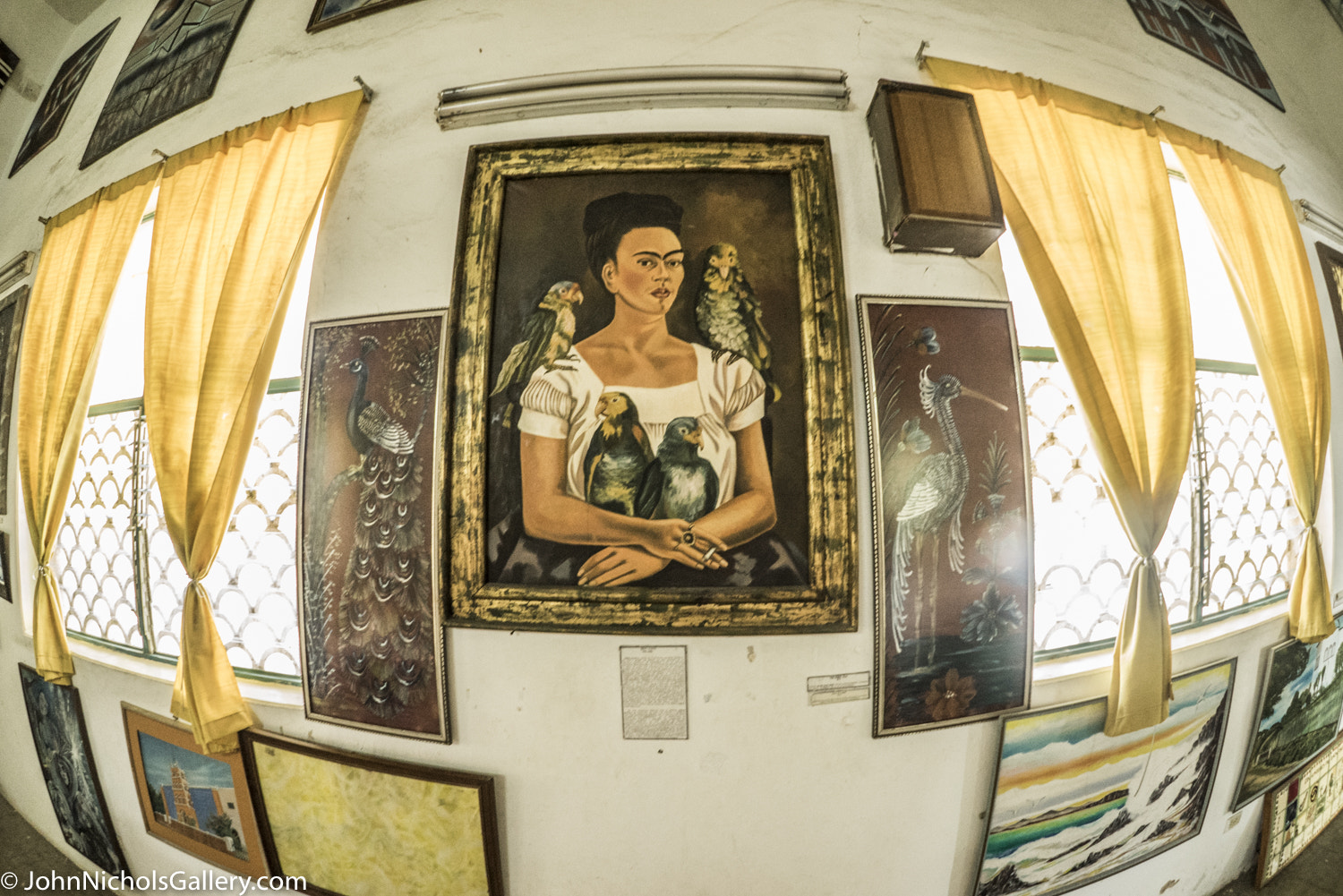 FE 16mm F3.5 Fisheye sample photo. Panama canal cruise nov dec photography