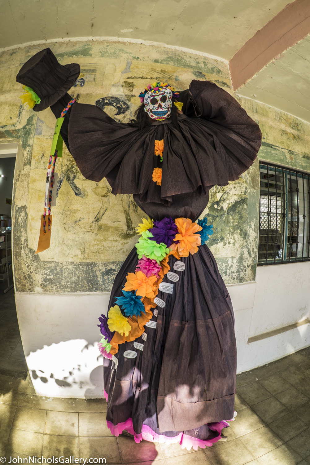 FE 16mm F3.5 Fisheye sample photo. Panama canal cruise nov dec photography