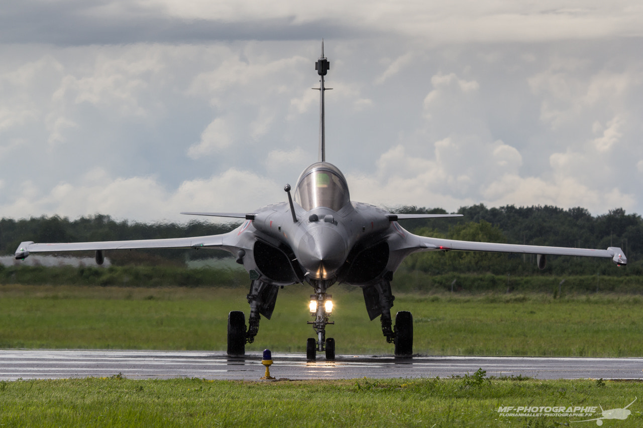 Canon EF 100-400mm F4.5-5.6L IS USM sample photo. Rafale photography