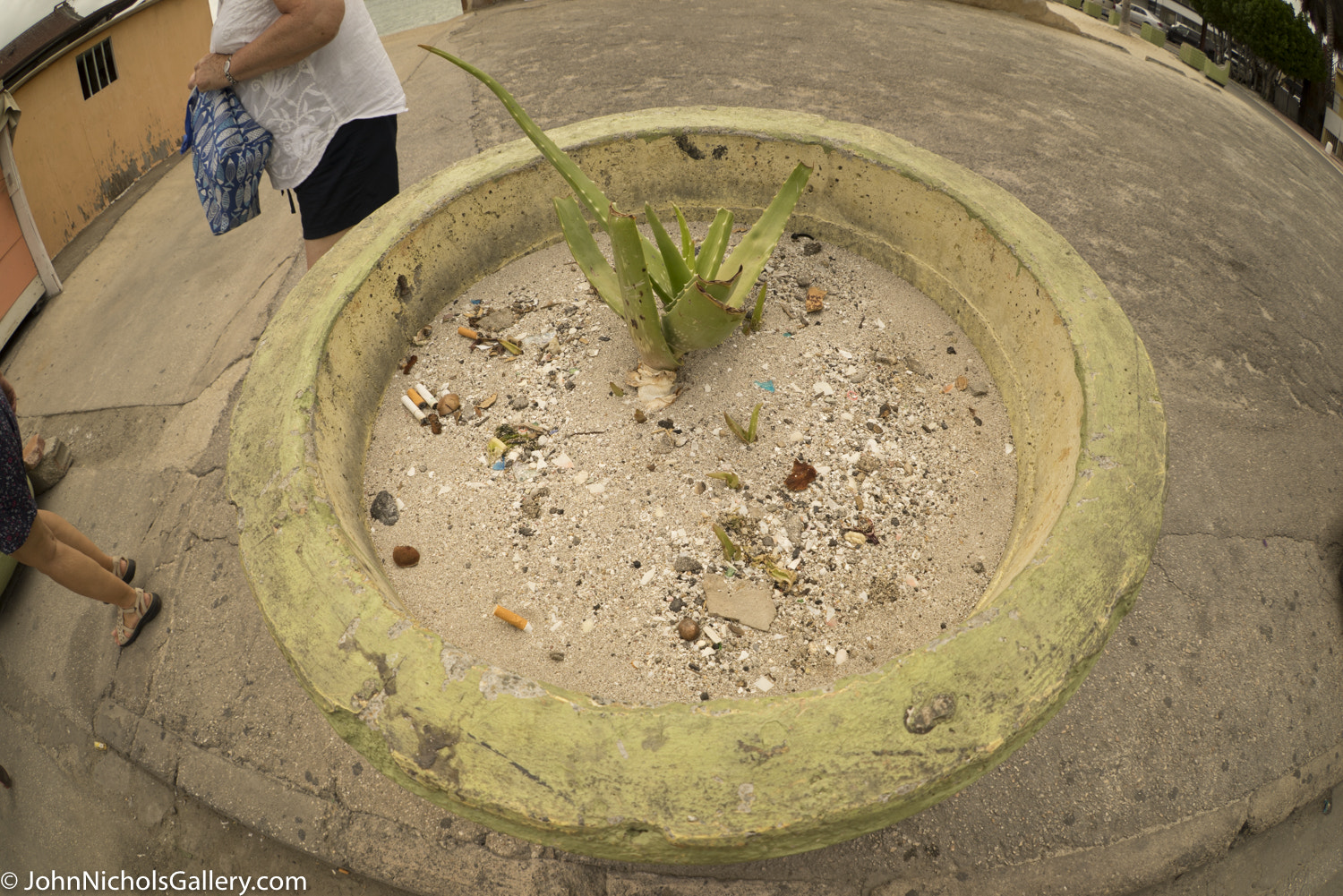 FE 16mm F3.5 Fisheye sample photo. Panama canal cruise nov dec photography