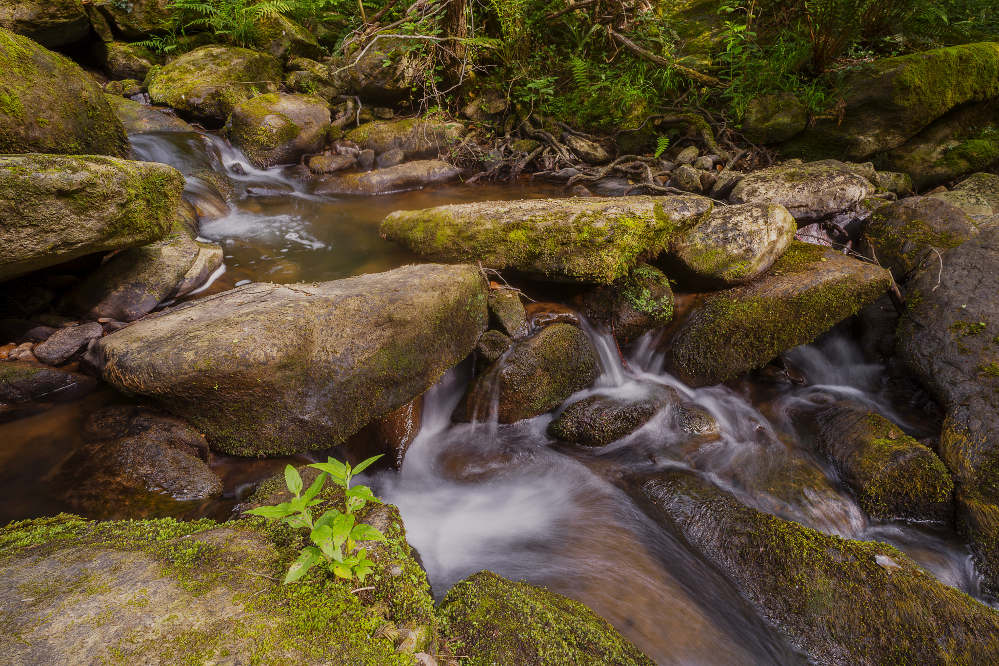 Nikon D610 + Nikon AF Nikkor 20mm F2.8D sample photo. Rocky river photography