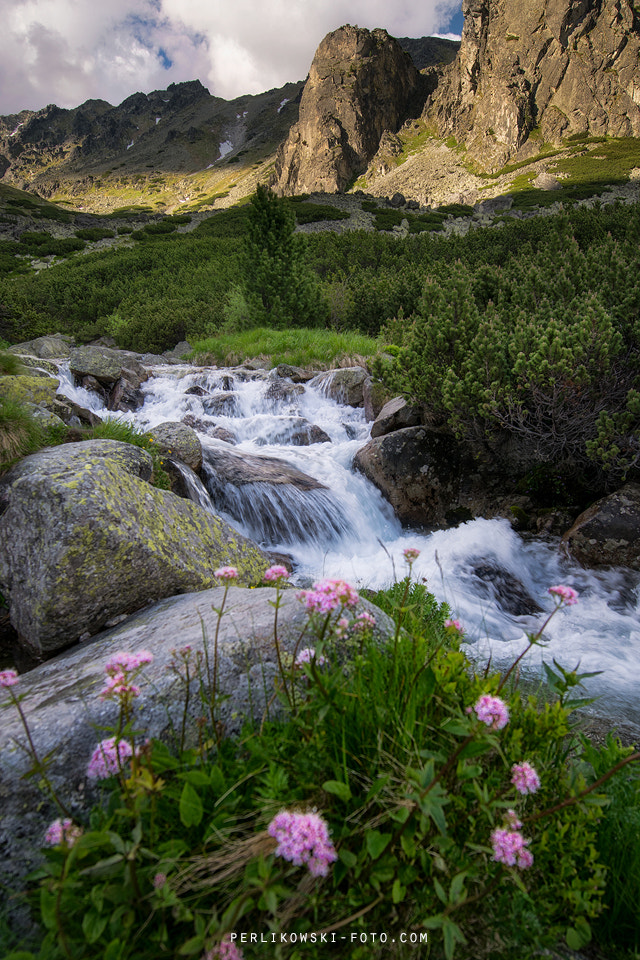 Nikon AF-S Nikkor 14-24mm F2.8G ED sample photo. Mountain brook photography