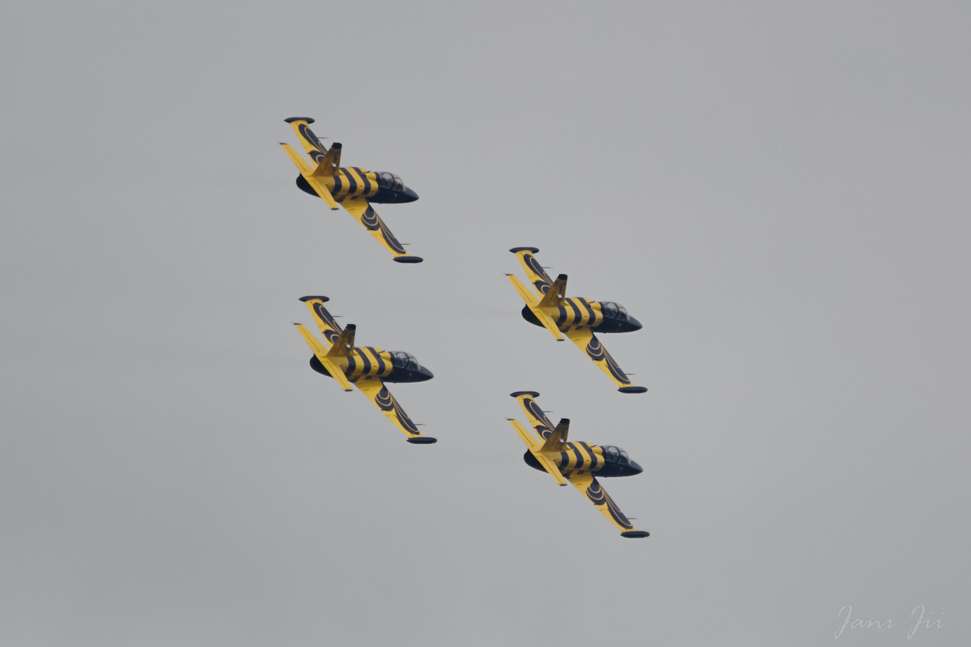 Canon EOS-1D Mark III sample photo. Baltic bees formation photography