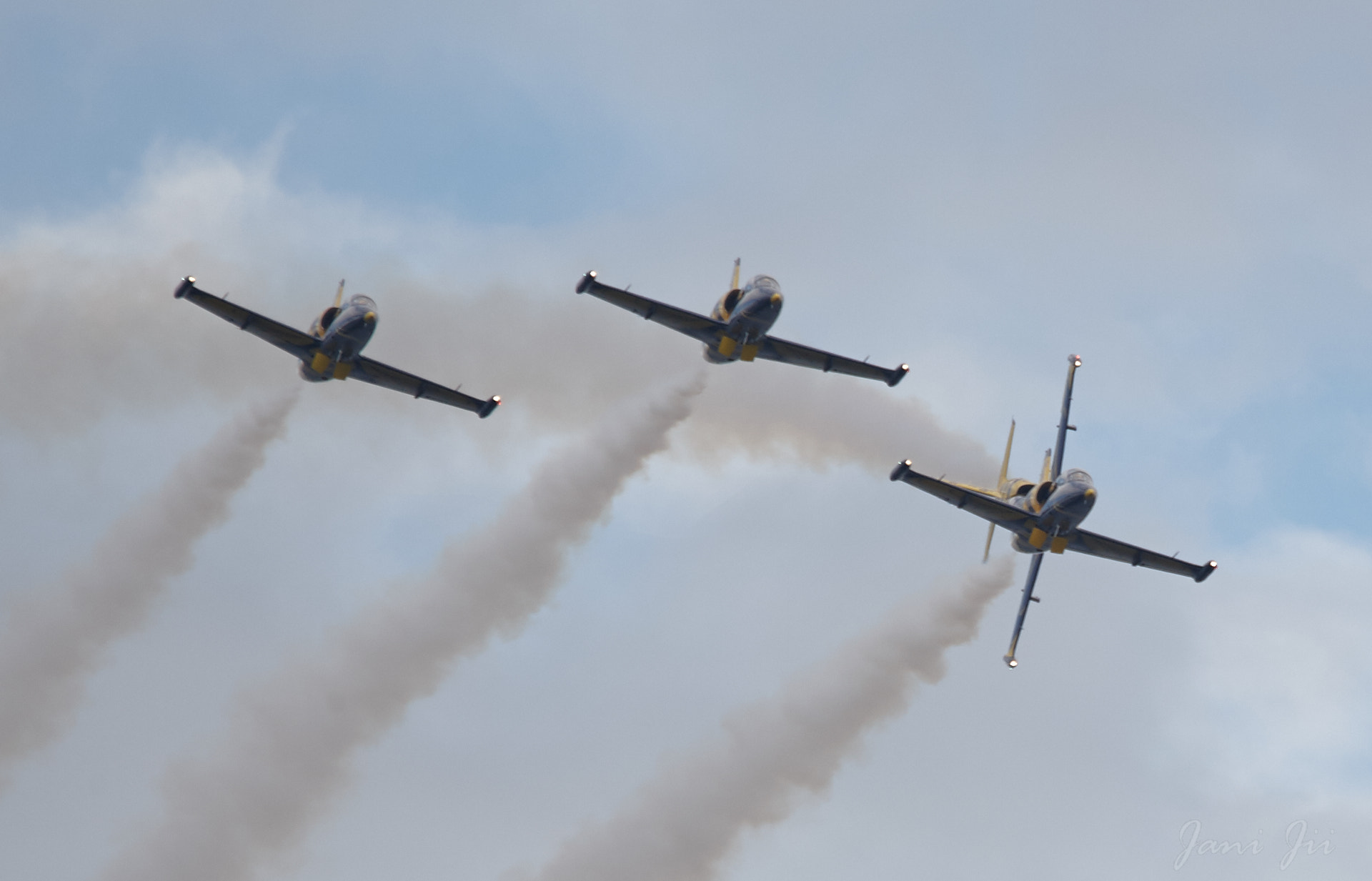 Canon EOS-1D Mark III sample photo. Baltic bees and drunken pilot photography
