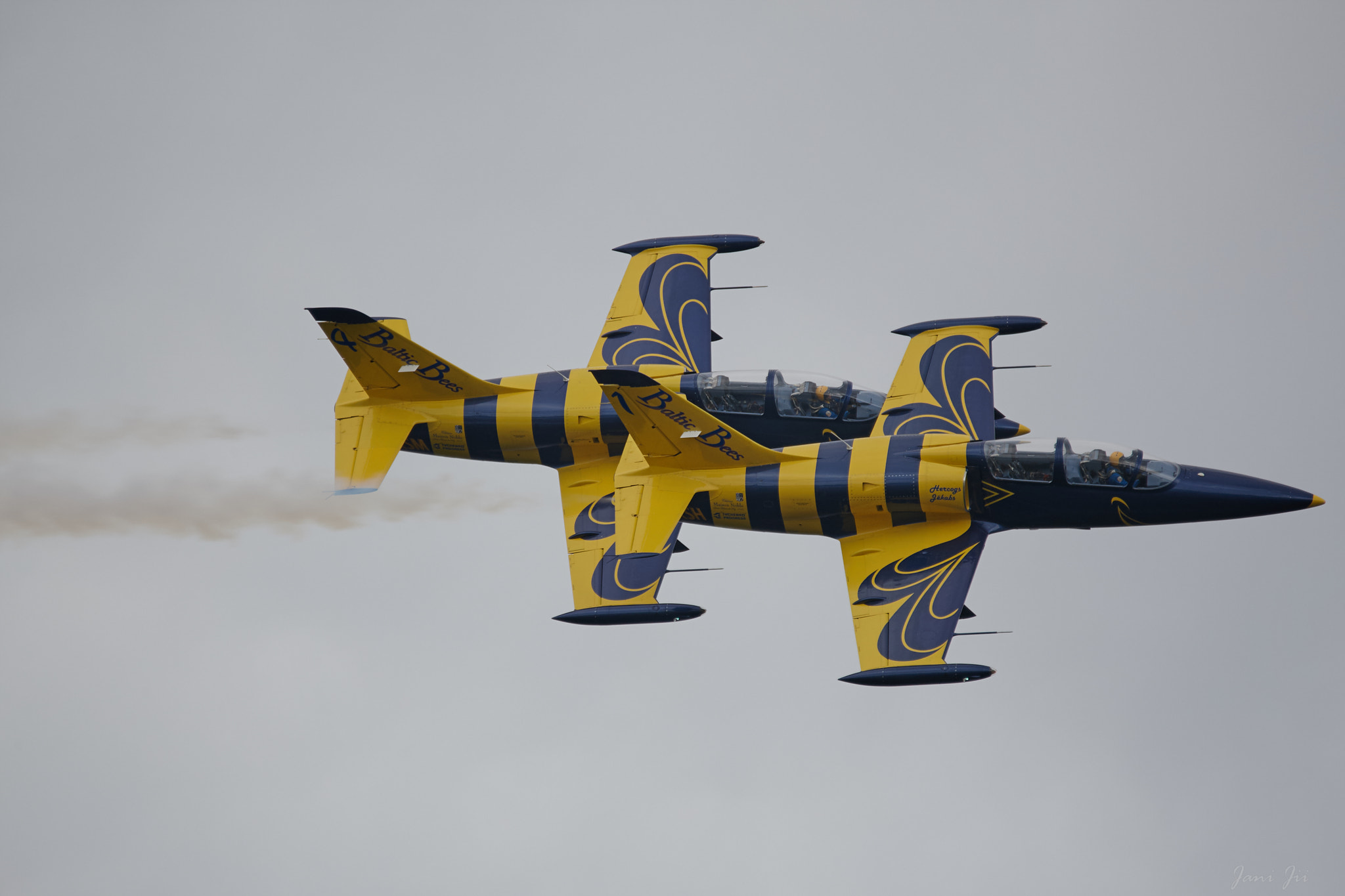 Canon EOS-1D Mark III sample photo. Baltic bees and close formation photography