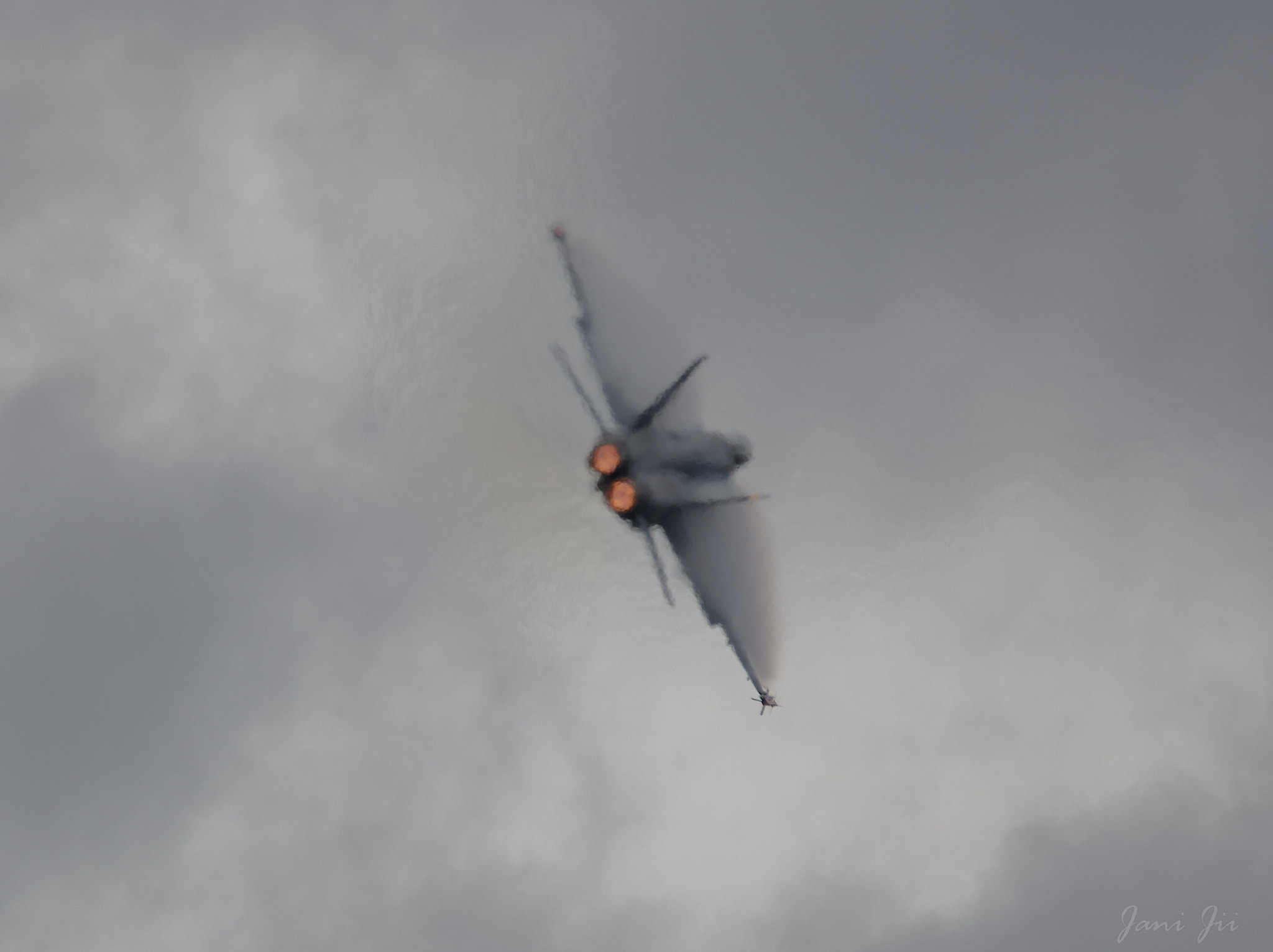 Canon EOS-1D Mark III sample photo. Hornet banking photography