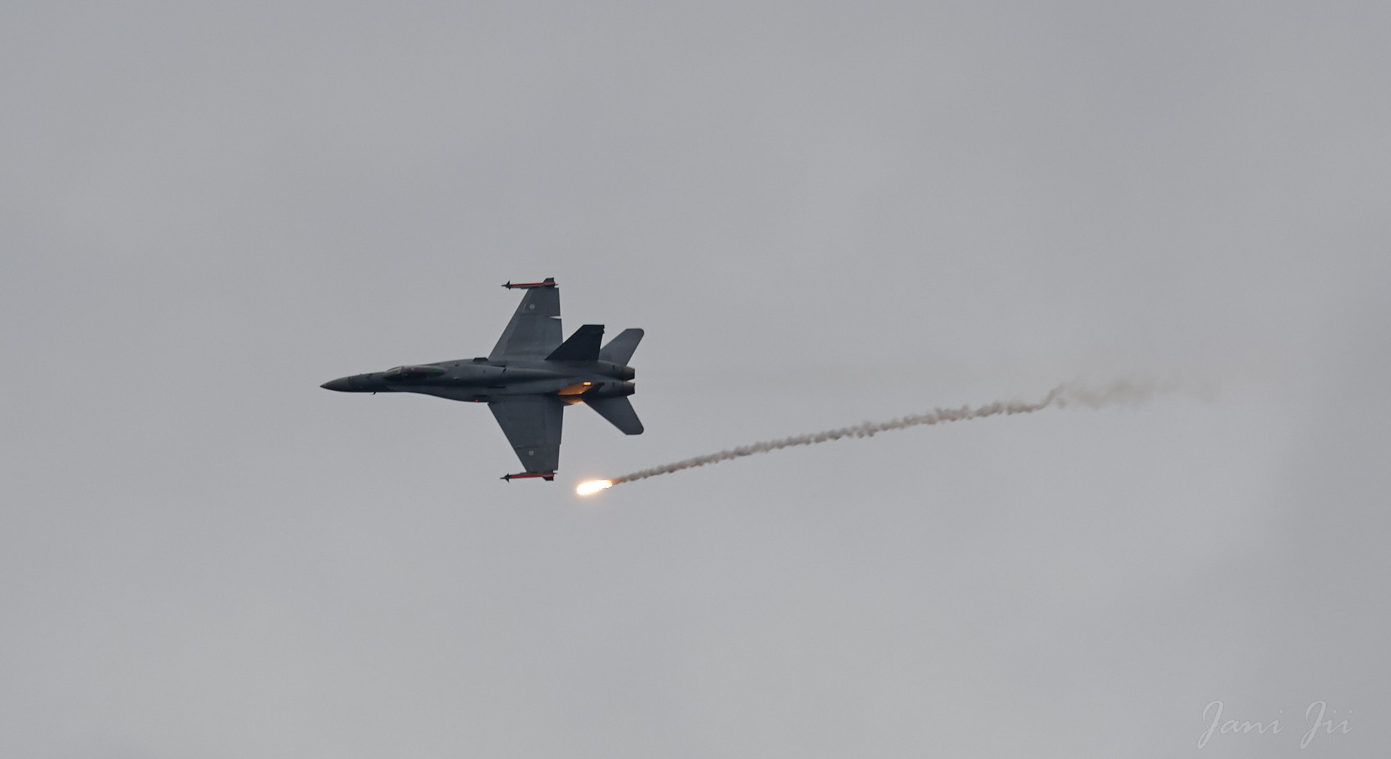 Canon EOS-1D Mark III sample photo. Hornet flaring photography
