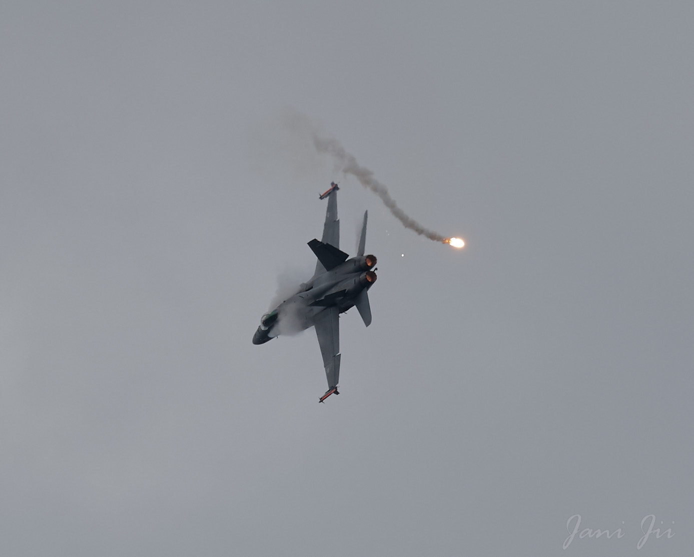 Canon EOS-1D Mark III + 150-600mm F5-6.3 DG OS HSM | Contemporary 015 sample photo. Hornet flaring and banking photography