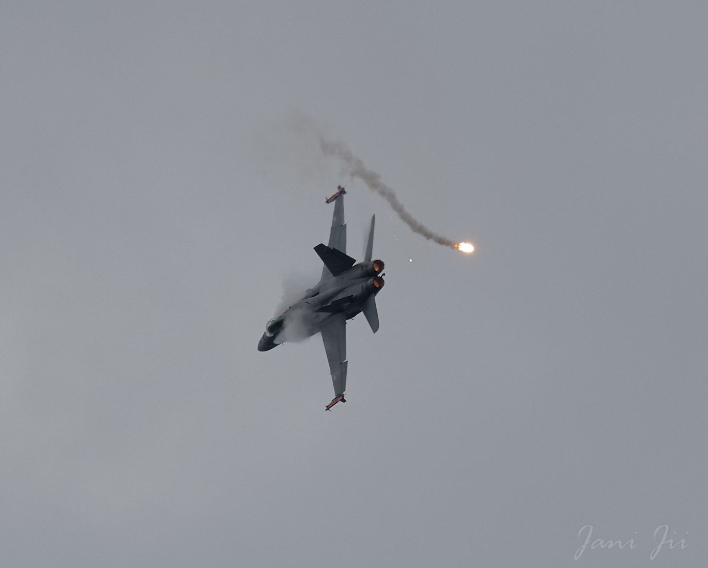 Canon EOS-1D Mark III sample photo. Hornet flaring and banking photography