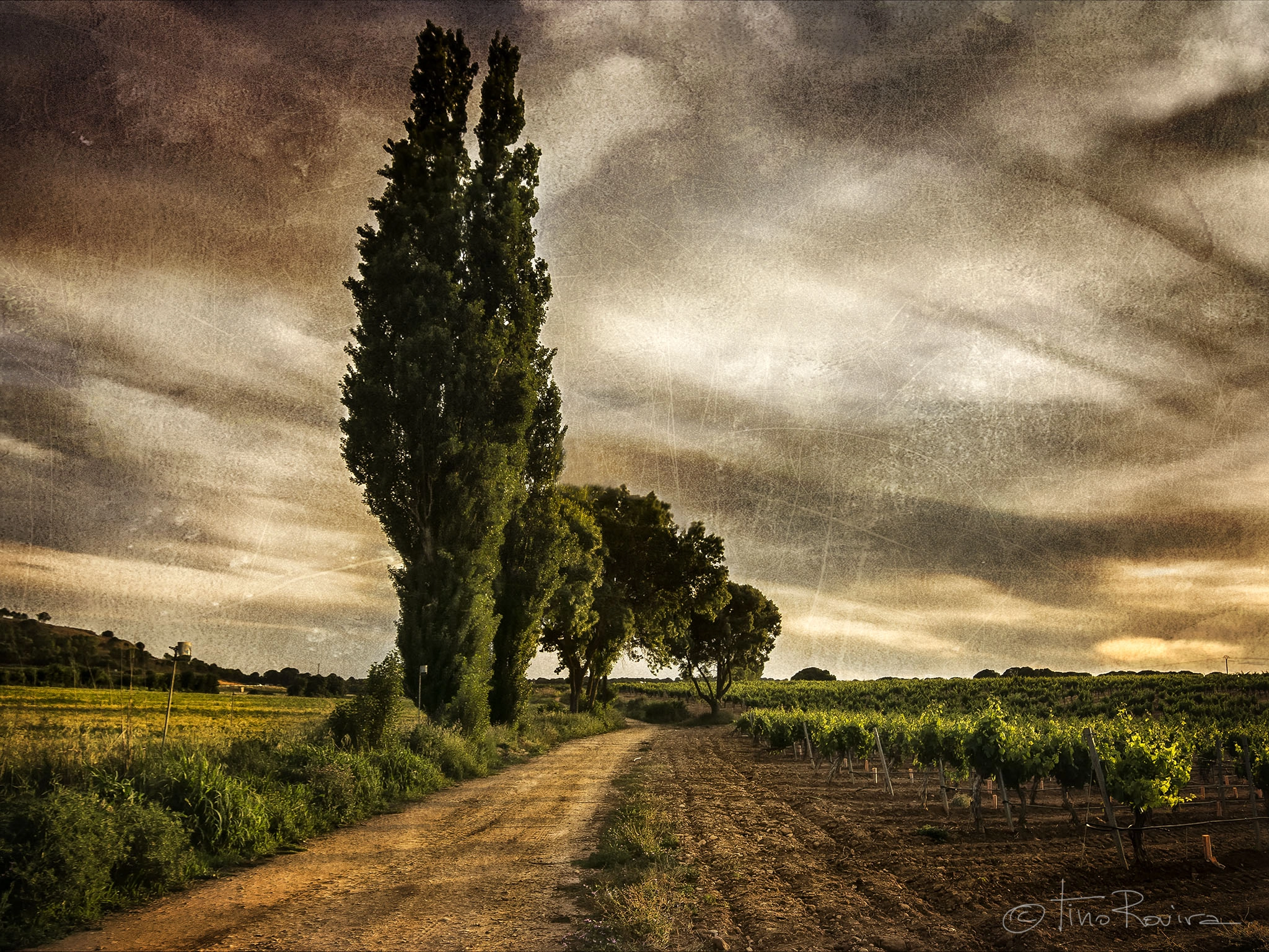 Tokina AT-X Pro 12-24mm F4 (IF) DX sample photo. Campos de la mancha.  a carmen. photography