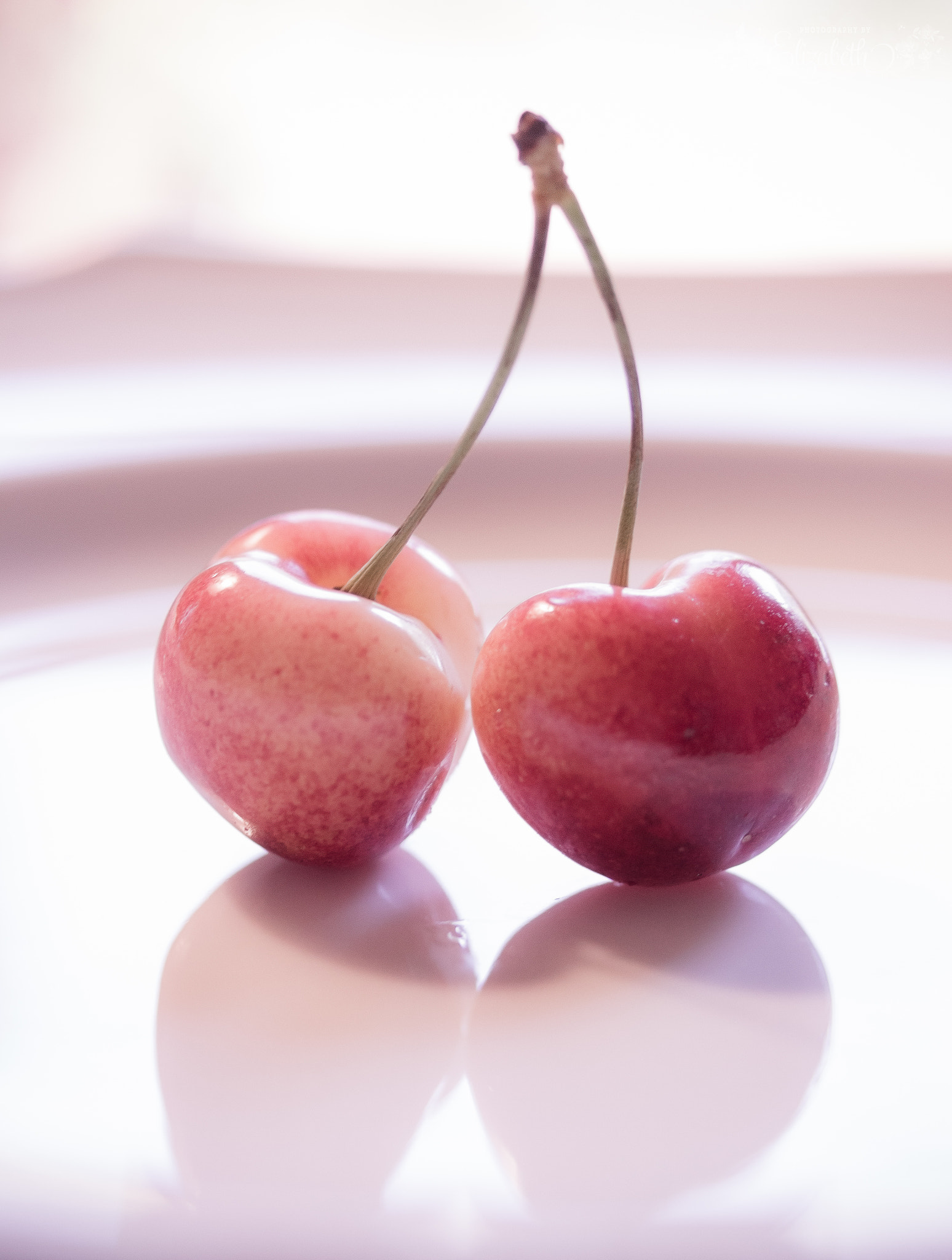 Canon EF-S 60mm F2.8 Macro USM sample photo. Too pretty to eat photography