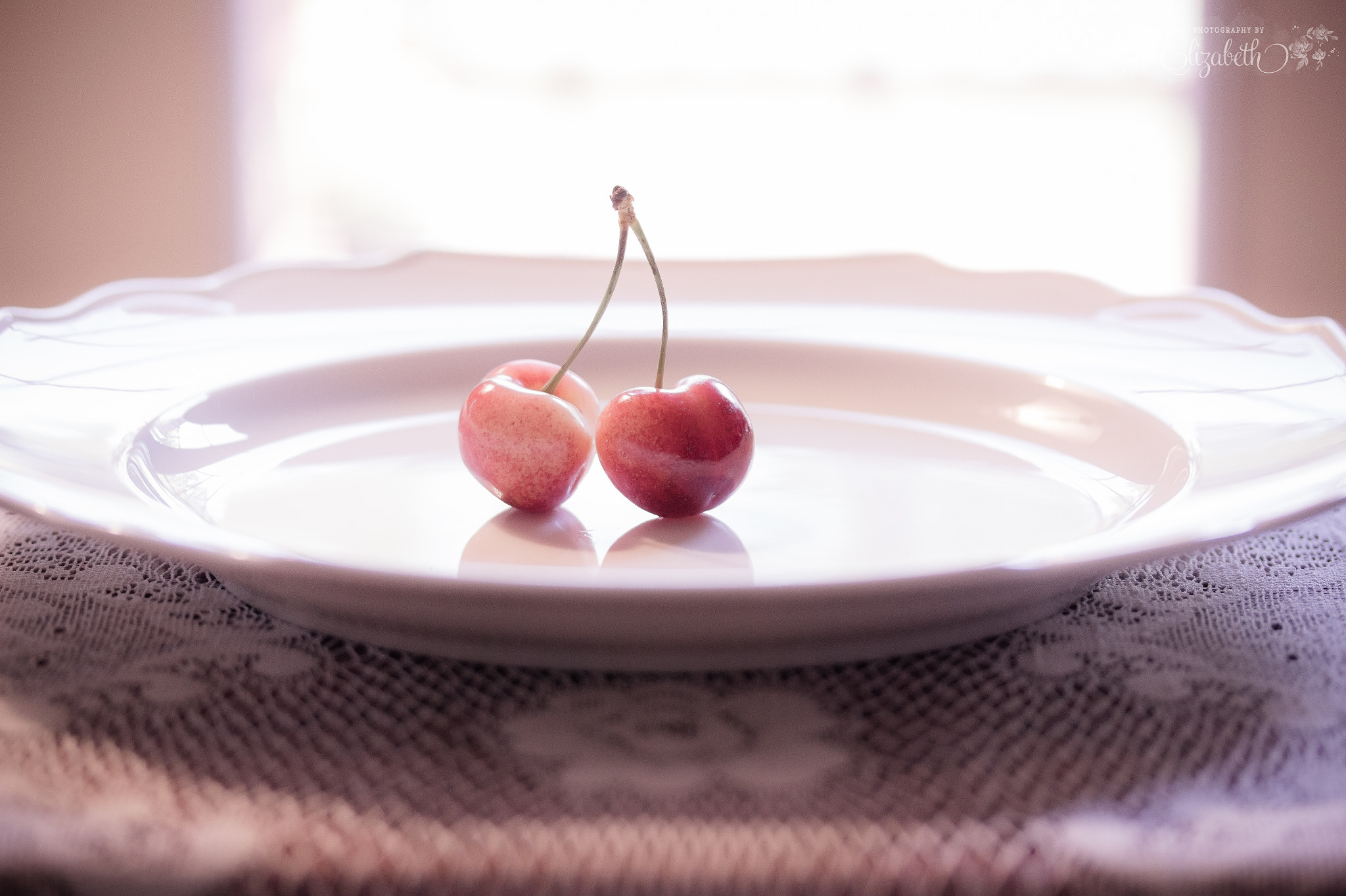 Canon EF-S 60mm F2.8 Macro USM sample photo. Pinks and reds photography