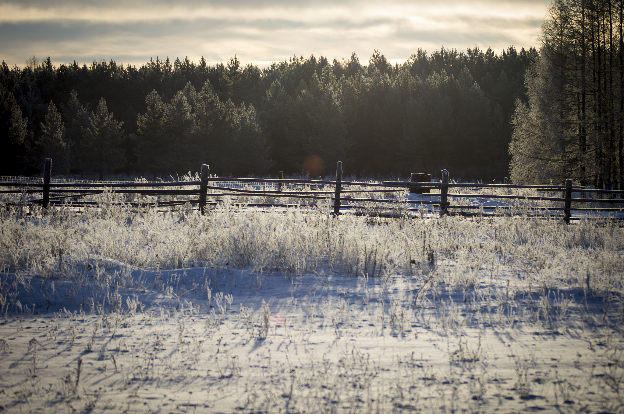 Sony Alpha DSLR-A580 sample photo. Деревенская зима photography