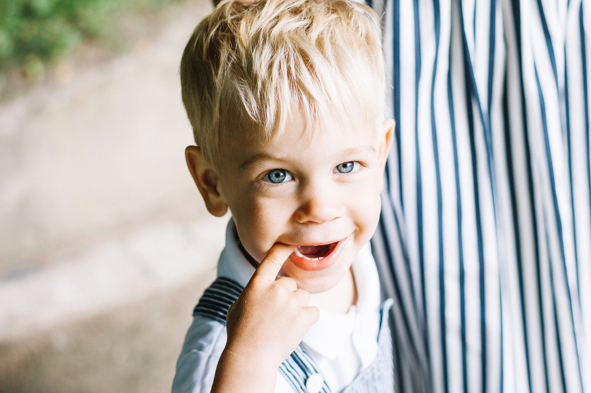 Canon EOS 60D + Canon EF 50mm F1.4 USM sample photo. смугасті photography