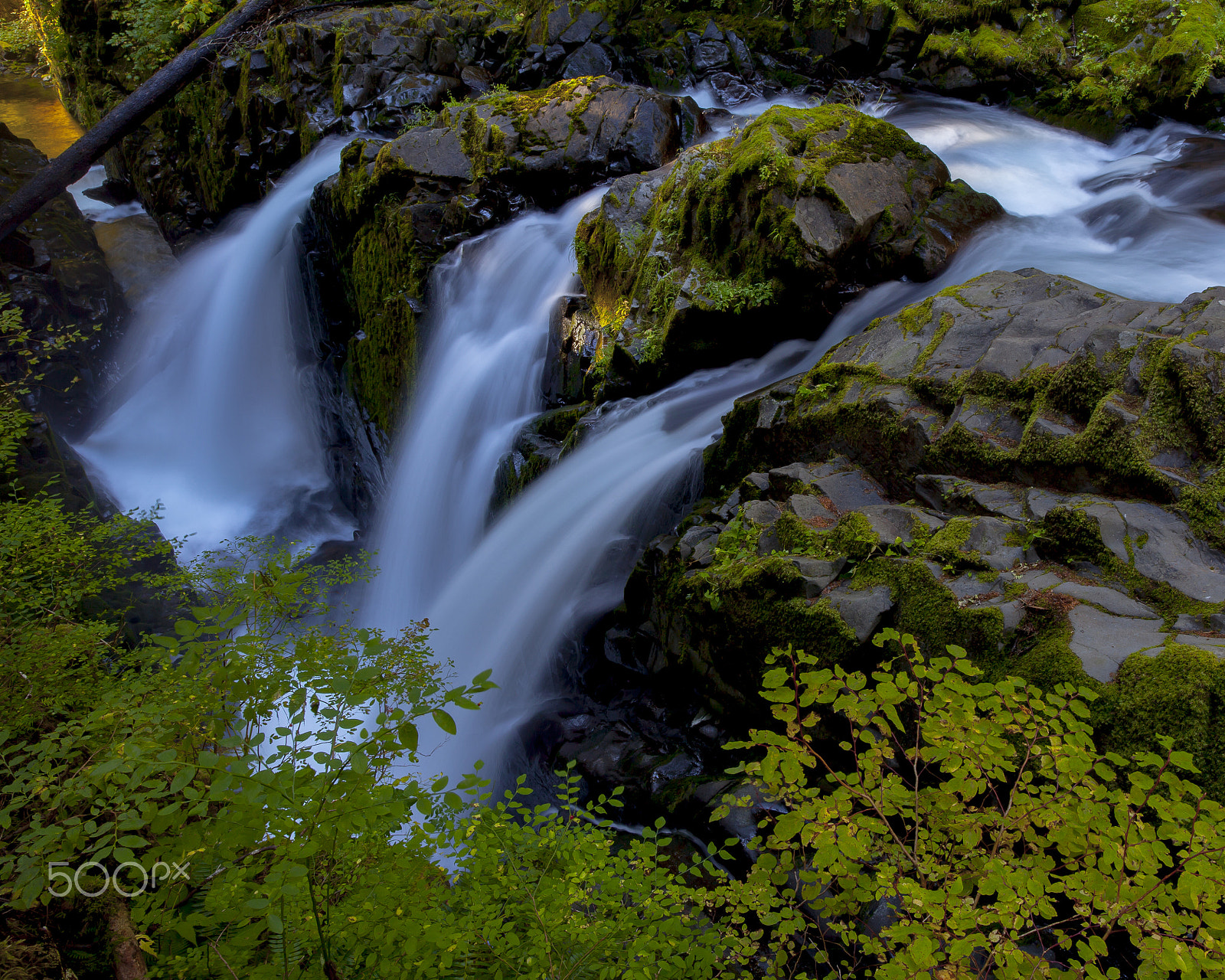 Canon EOS 5D Mark II + ZEISS Distagon T* 21mm F2.8 sample photo. Sol duc falls, washington state photography