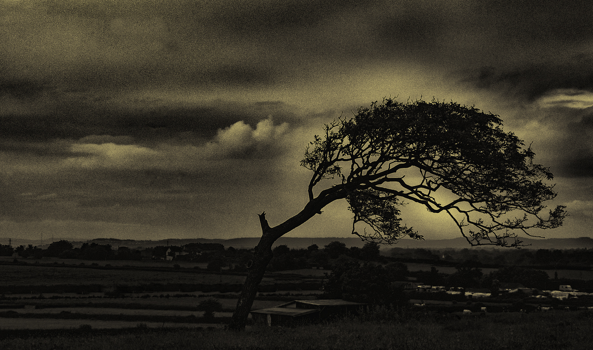Tamron AF 18-200mm F3.5-6.3 XR Di II LD Aspherical (IF) Macro sample photo. A lonely tree photography