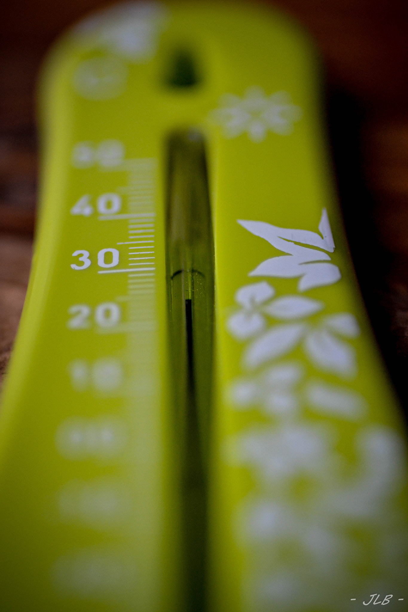 Nikon D3100 sample photo. Thermometer photography