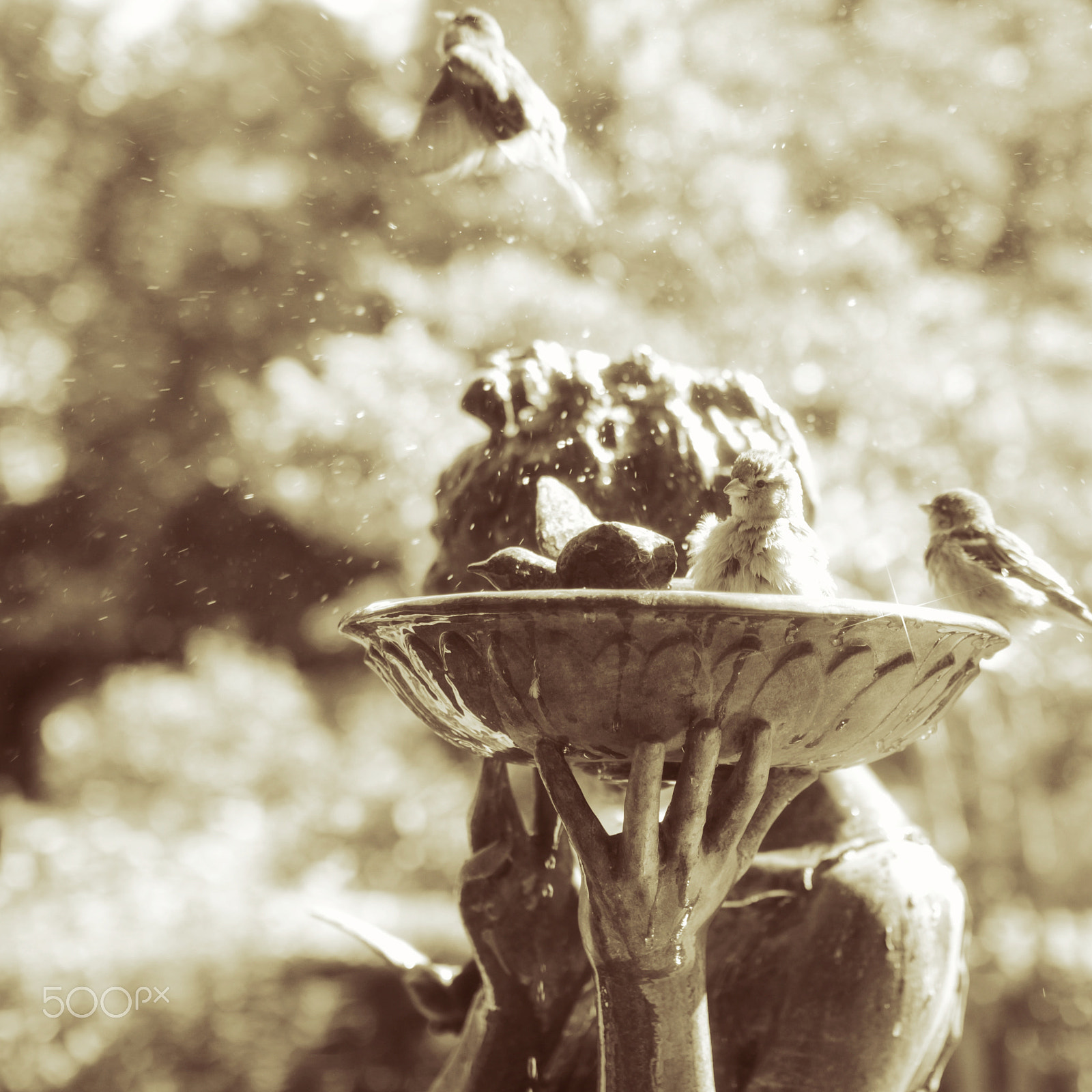 Sigma 35mm F1.4 DG HSM Art sample photo. Throwback photography
