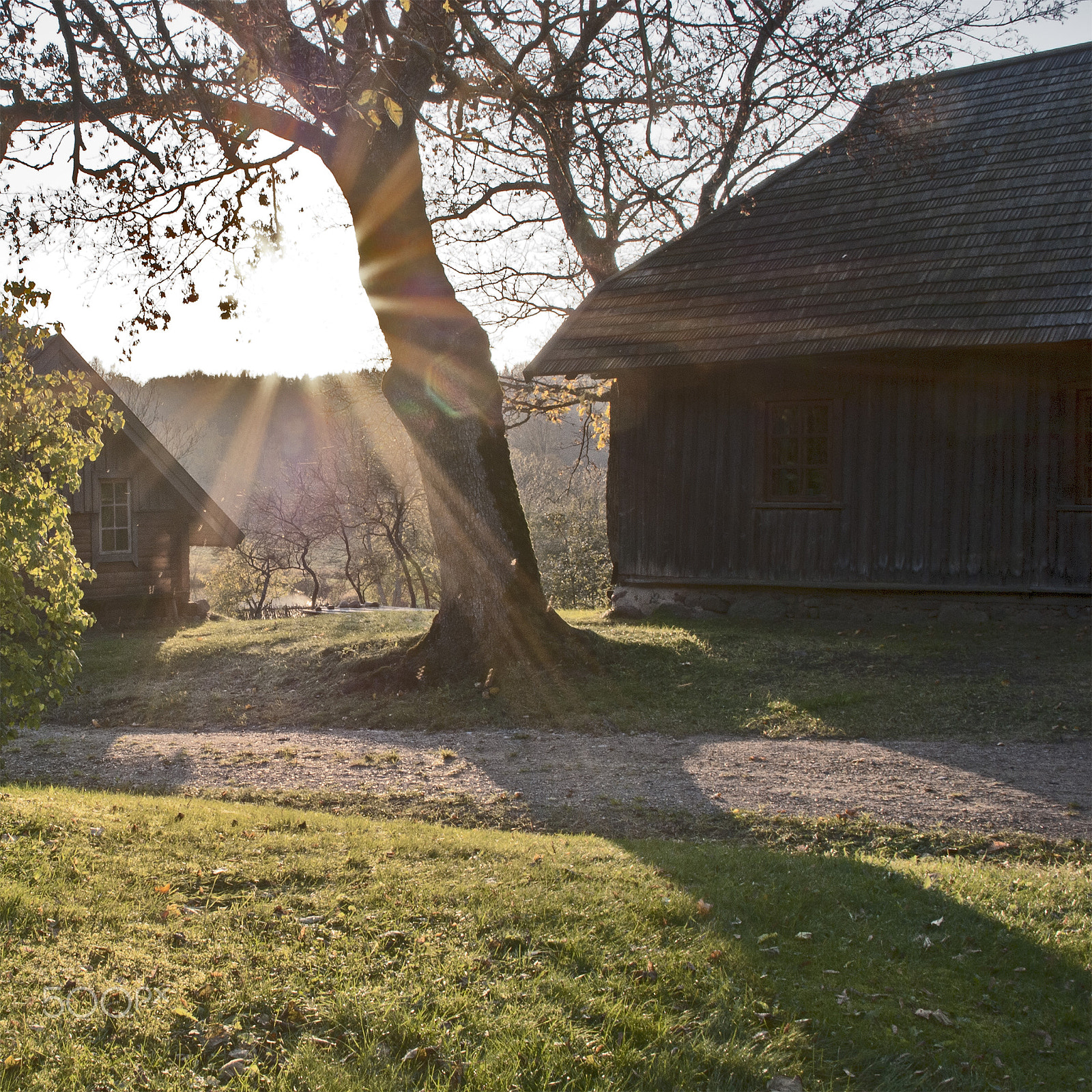 Nikon D80 + Sigma 18-50mm F3.5-5.6 DC sample photo. Autumn at the homestead photography