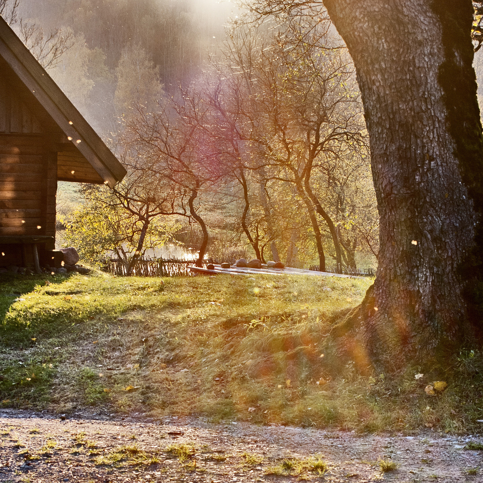 Nikon D80 + Sigma 18-50mm F3.5-5.6 DC sample photo. Autumn at the homestead photography