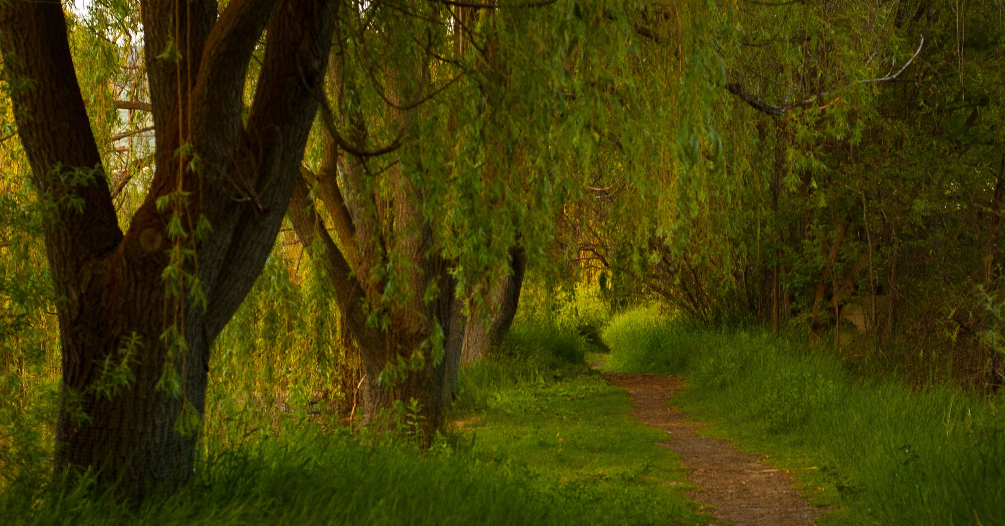 Nikon D70s + Nikon AF Nikkor 50mm F1.8D sample photo. Local landscape - straight out of a fairytale photography