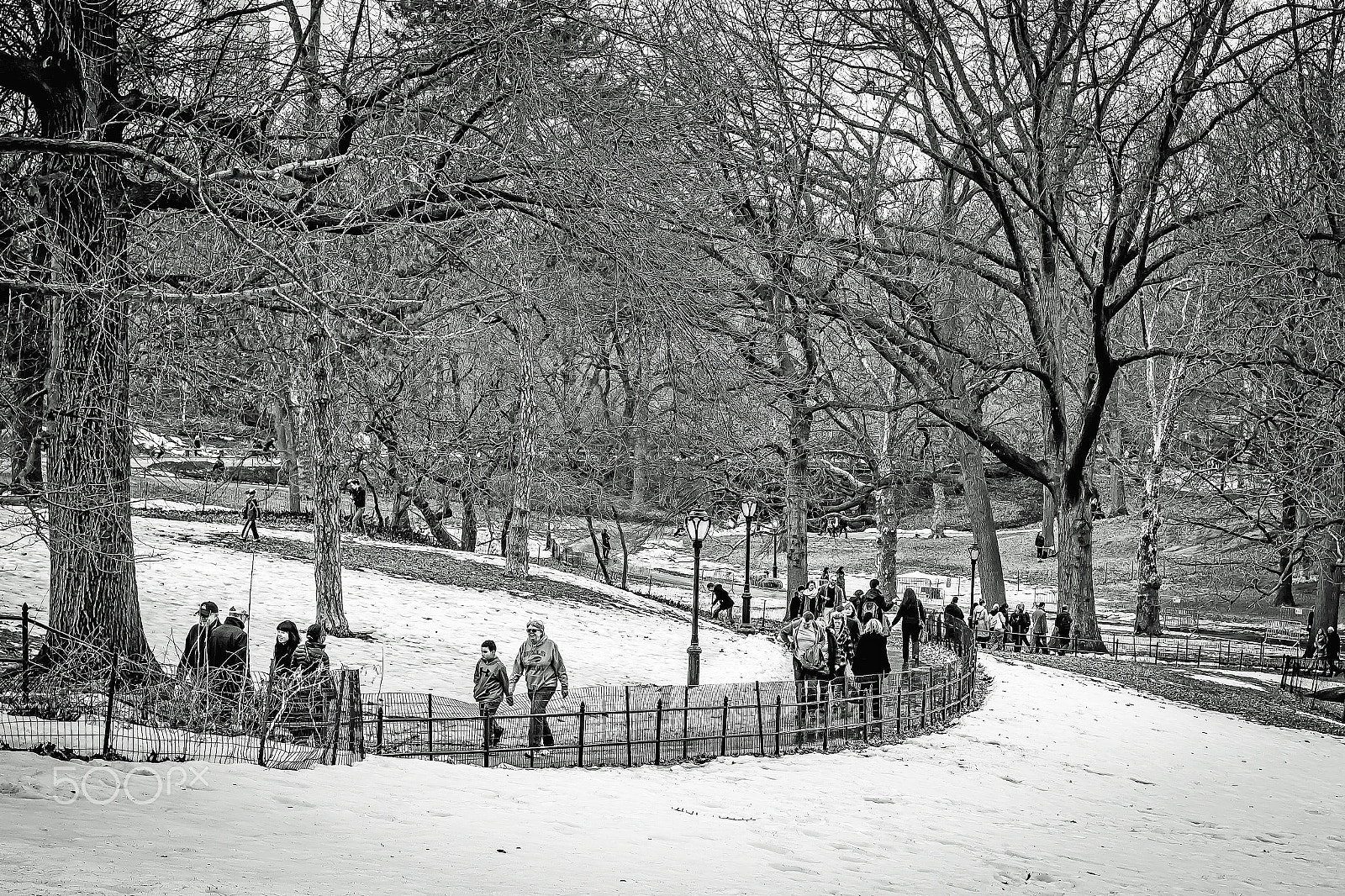 Canon EOS 550D (EOS Rebel T2i / EOS Kiss X4) + Canon EF 50mm F1.4 USM sample photo. Central park promenade photography