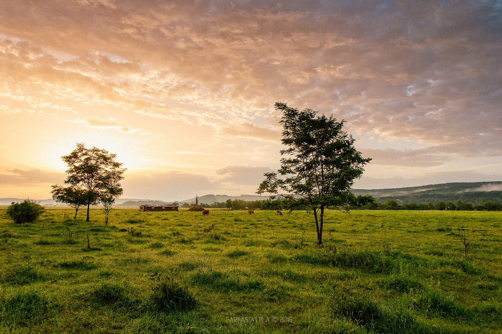 Nikon D60 sample photo. Transylvanian morning... photography