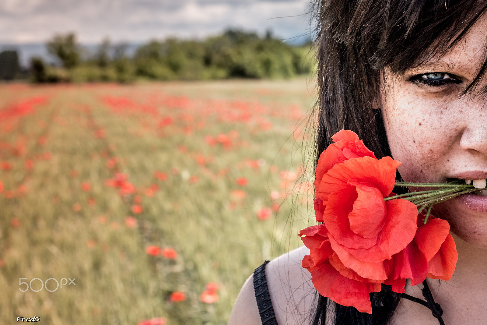 Canon EOS 70D + Canon EF 50mm F1.4 USM sample photo. Poppies girl photography