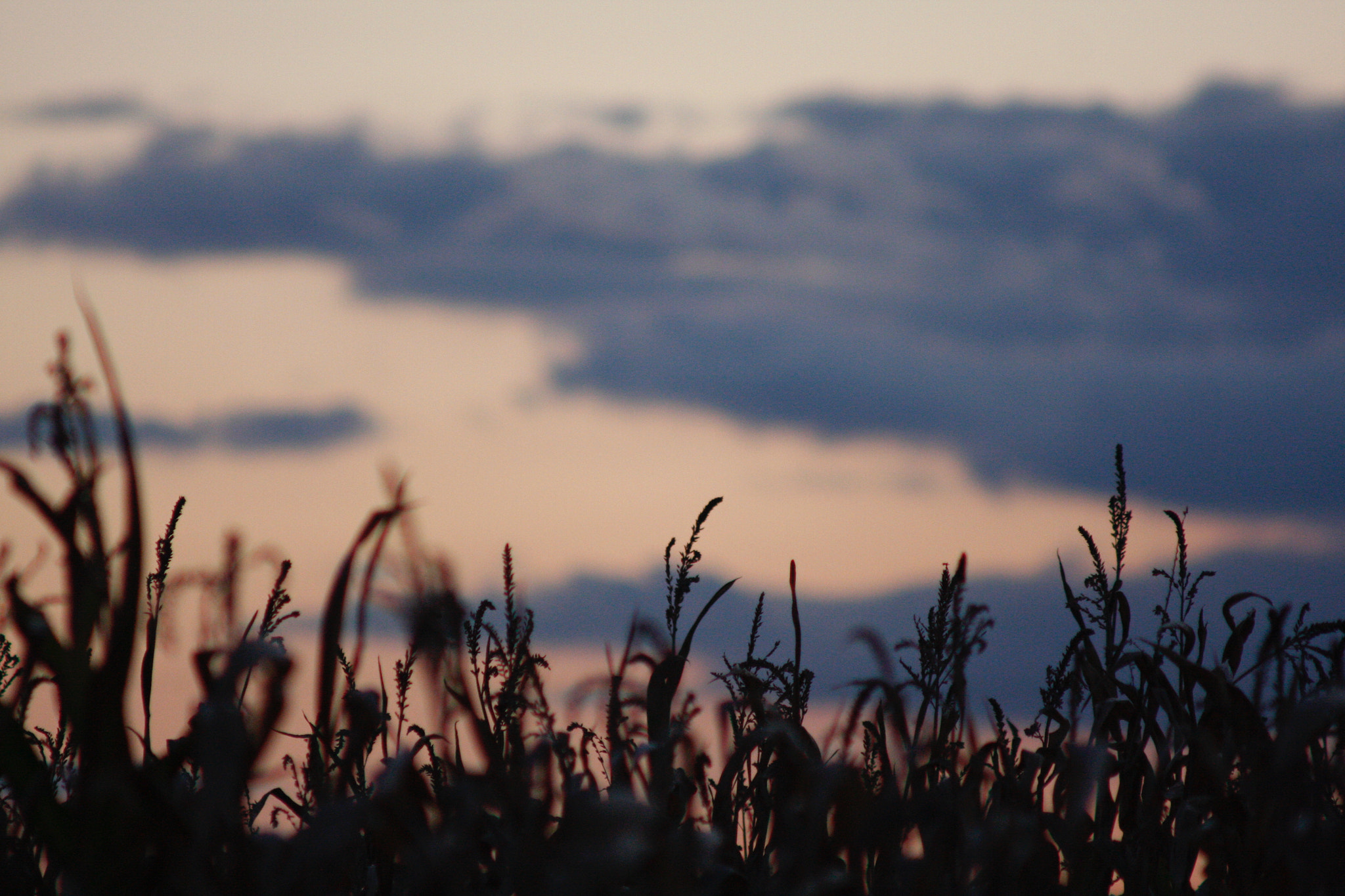 Canon EF 90-300mm F4.5-5.6 sample photo