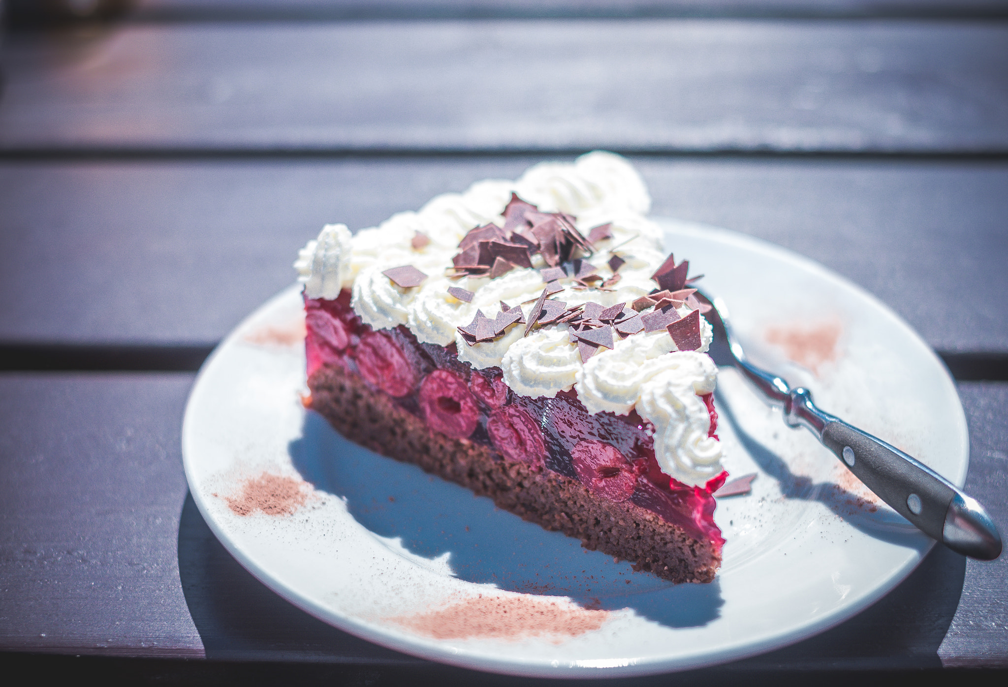 Fujifilm X-A1 sample photo. Piece of cake photography