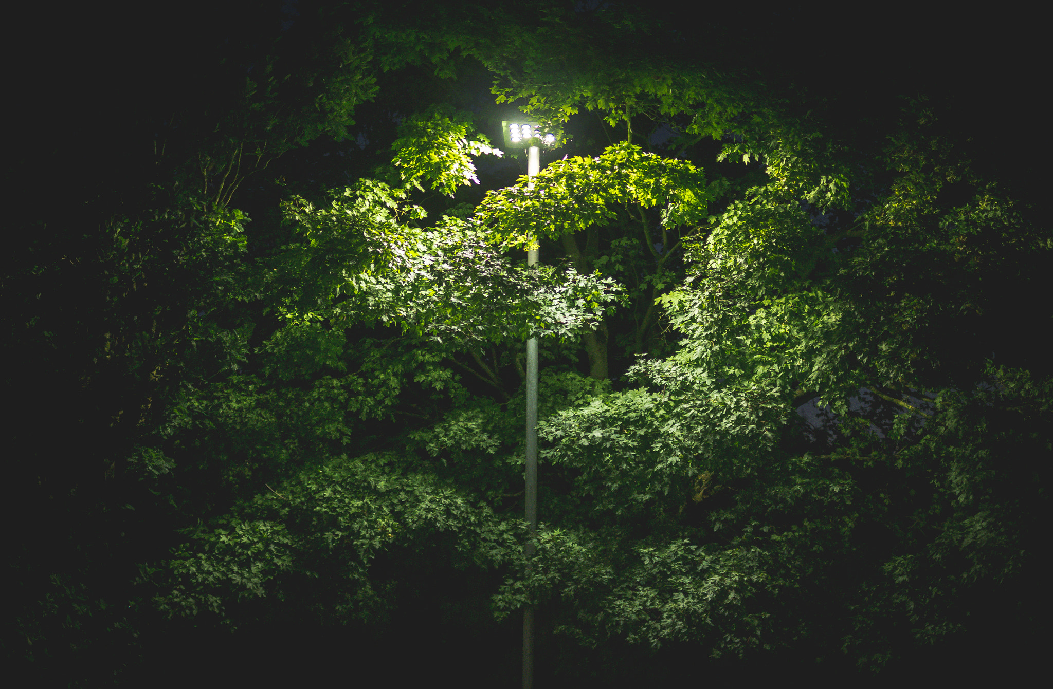 Fujifilm X-A1 sample photo. A light in the night photography
