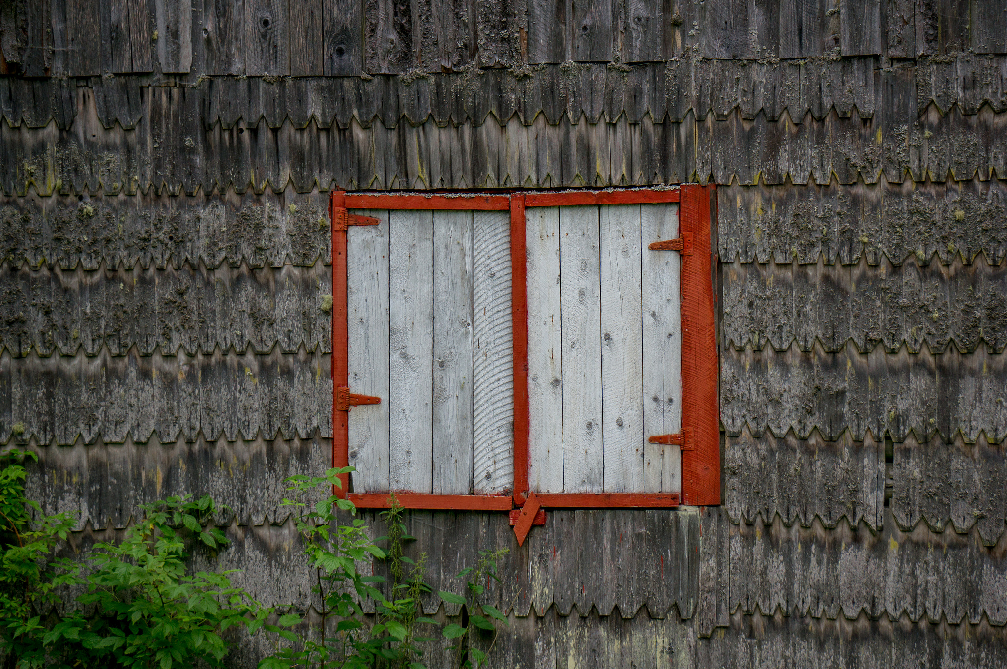 Sony Alpha NEX-5T + Sony E 55-210mm F4.5-6.3 OSS sample photo. Sealed rural preservation center photography