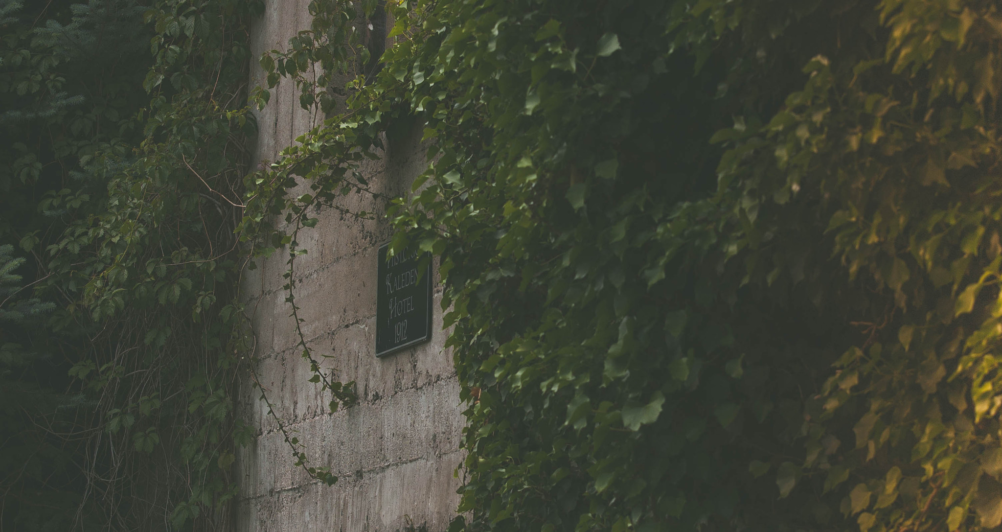 Nikon D70s sample photo. Kaleden 1912 abandoned hotel photography