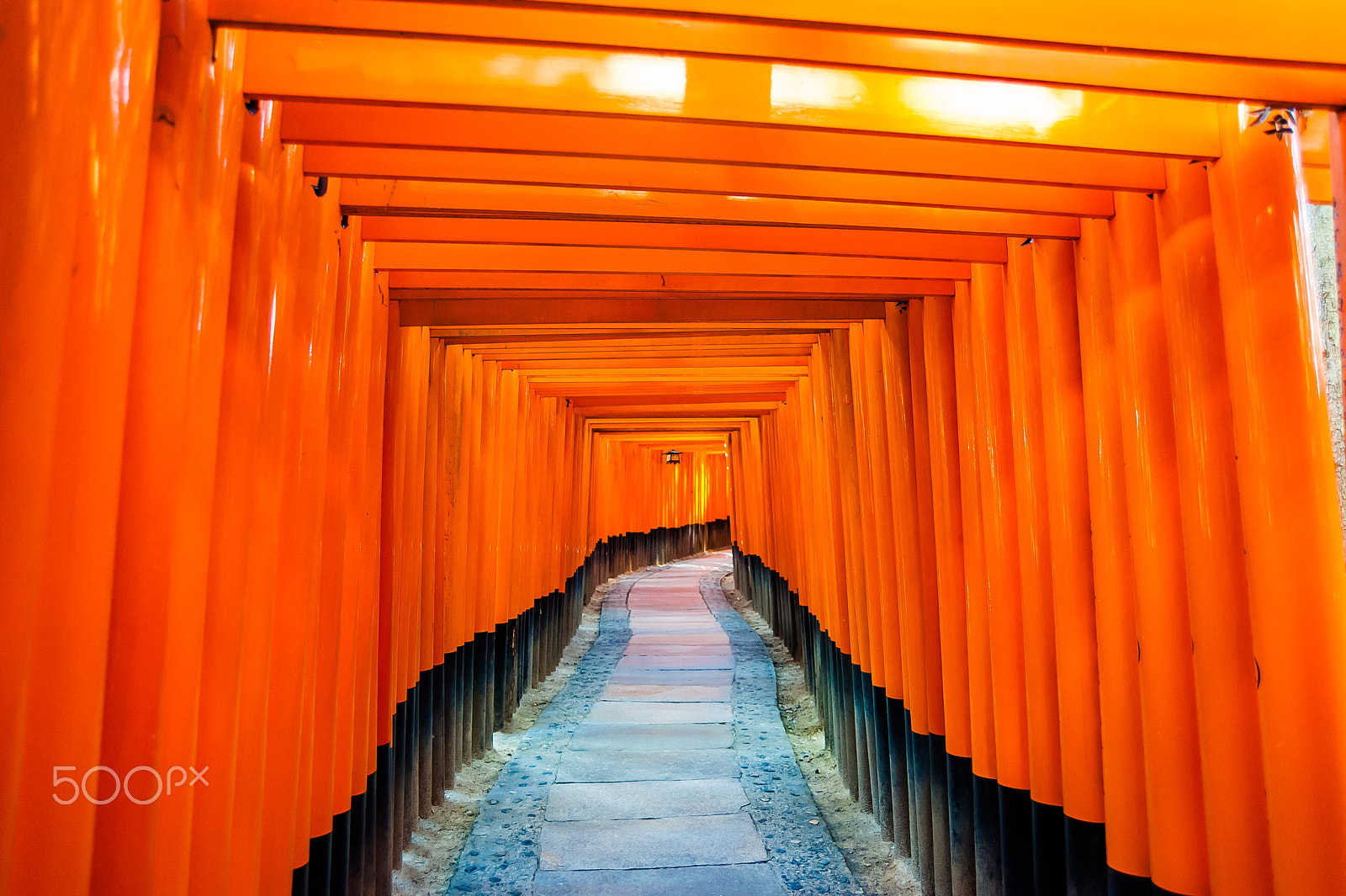 AF Zoom-Nikkor 28-70mm f/3.5-4.5D sample photo. Fushimi inari taisha photography