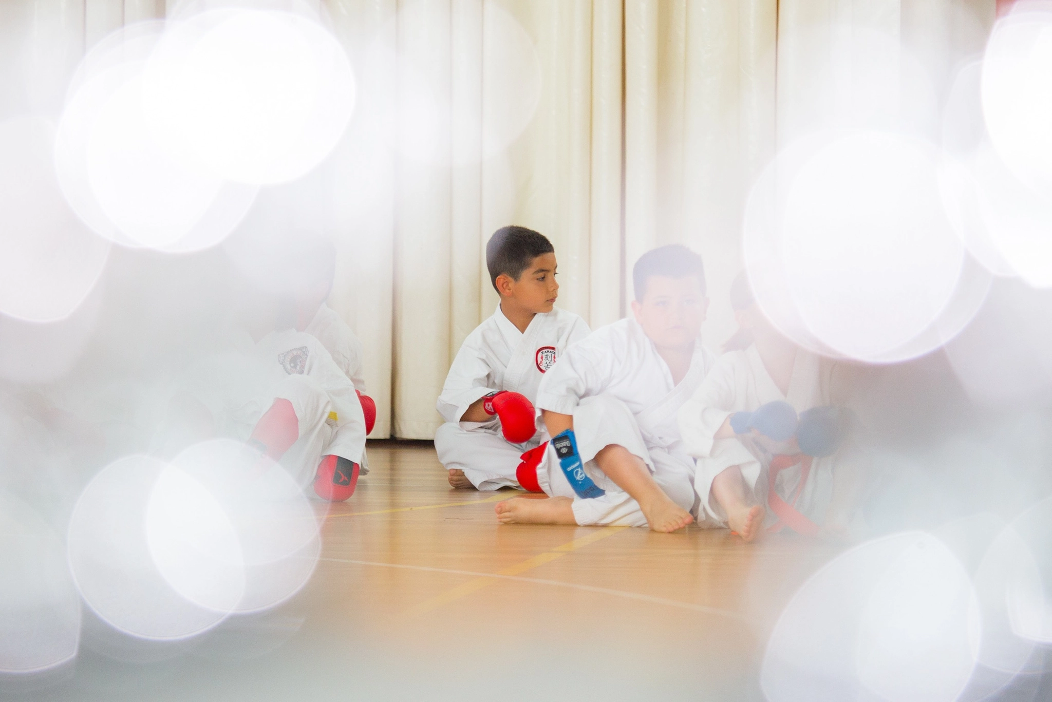 Canon EF 80-200mm f/2.8L sample photo