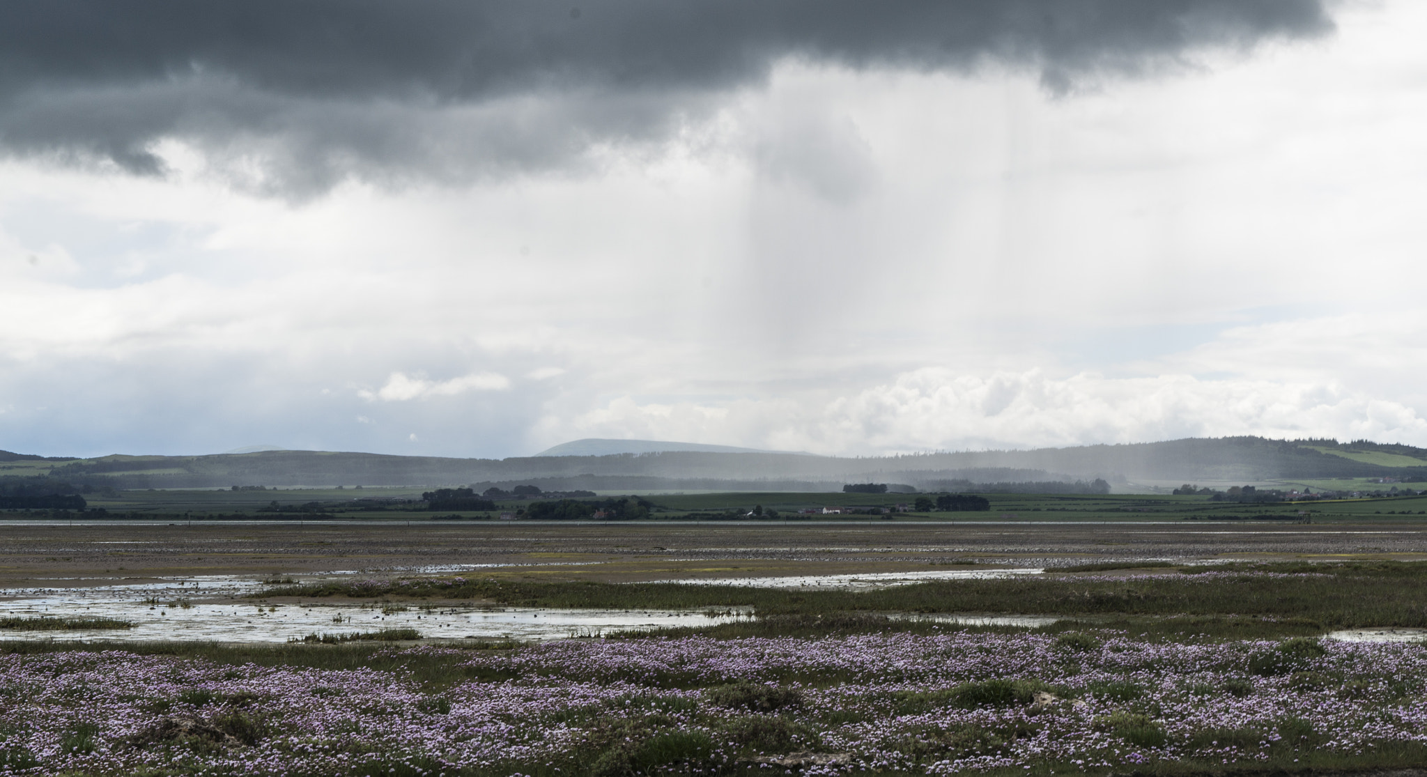 Pentax K-30 + Sigma 17-70mm F2.8-4 DC Macro HSM | C sample photo. A pssing squal photography