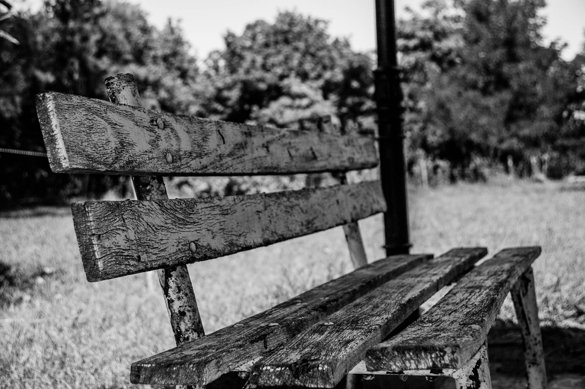 Nikon D40 sample photo. **** photography