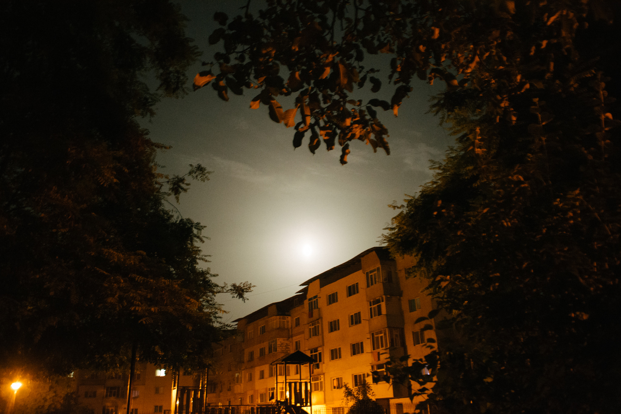 Sigma 18-50mm F2.8-4.5 DC OS HSM sample photo. Moon/heart photography