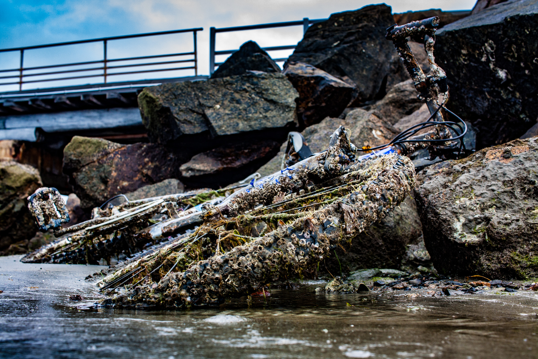 Canon EF-S 24mm F2.8 STM sample photo. Davey jones bike photography
