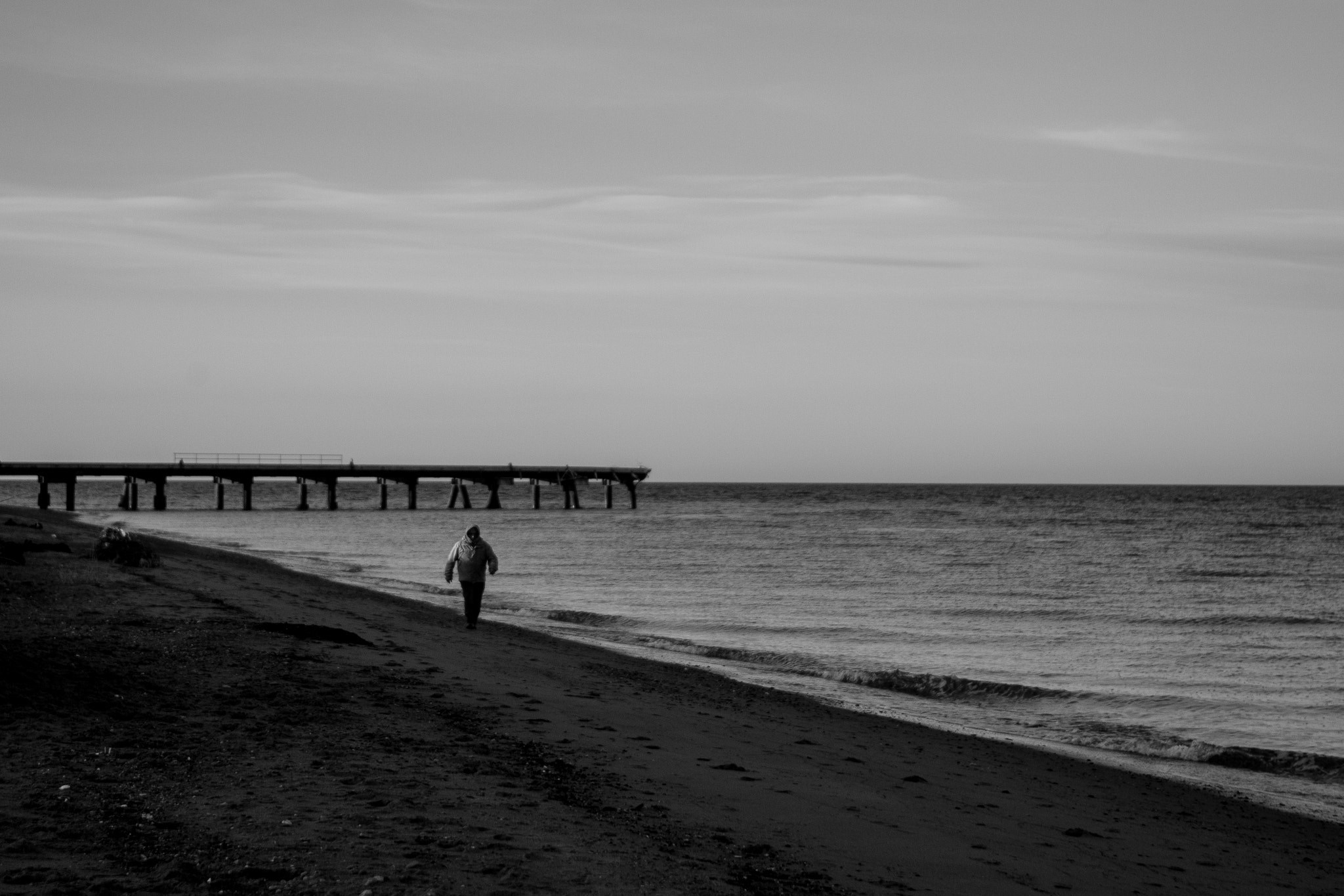 EF28-70mm f/2.8L USM sample photo. Solitario va caminando photography