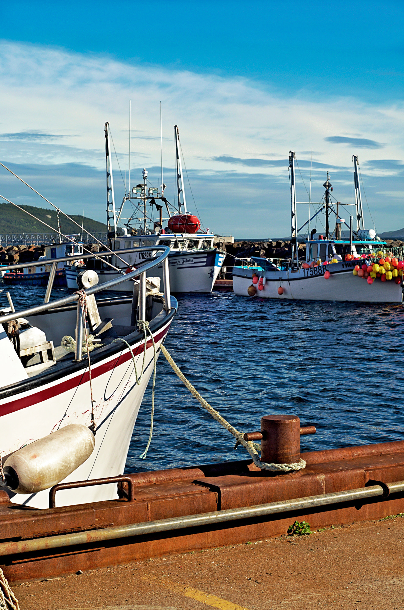 Nikon D5100 + AF Nikkor 50mm f/1.8 sample photo. Quai des pêcheurs photography