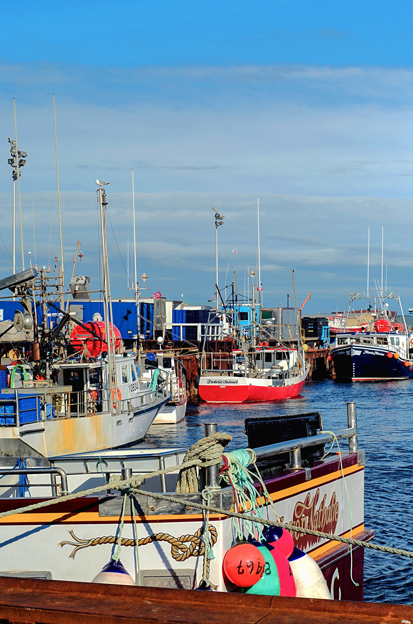 Nikon D5100 + AF Nikkor 50mm f/1.8 sample photo. Quai des pêcheurs photography