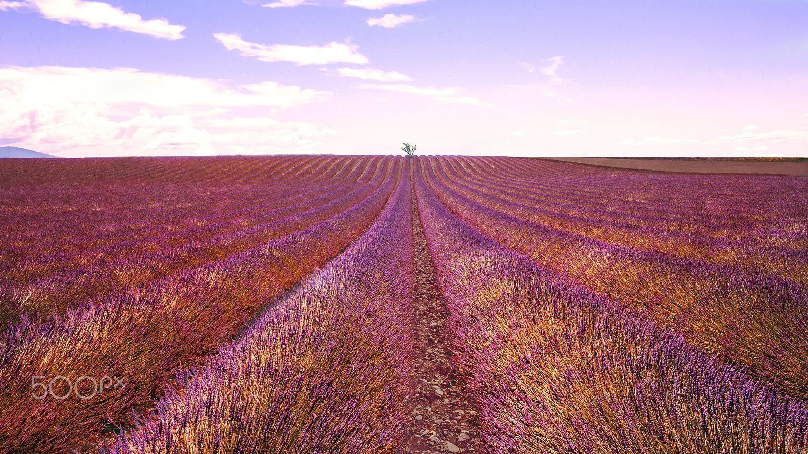 Sigma 12-24mm F4.5-5.6 II DG HSM sample photo. Provence photography