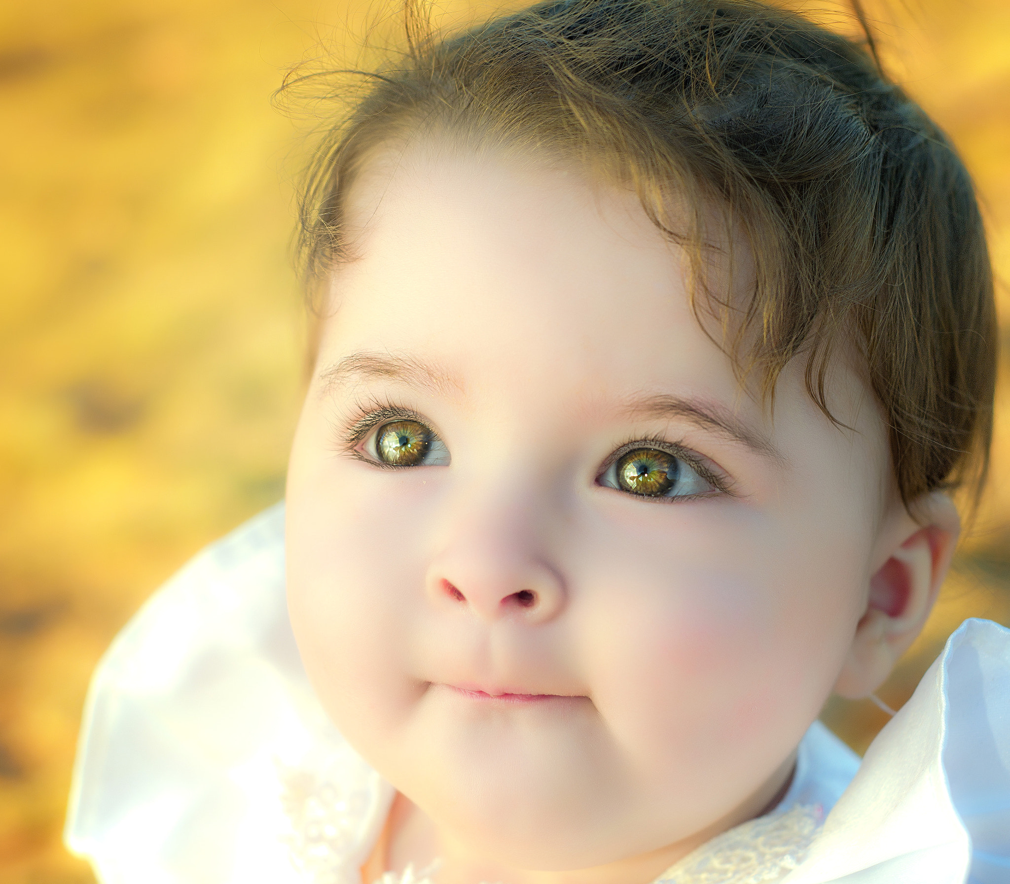 Nikon D800 + AF Nikkor 50mm f/1.8 sample photo. جوري photography