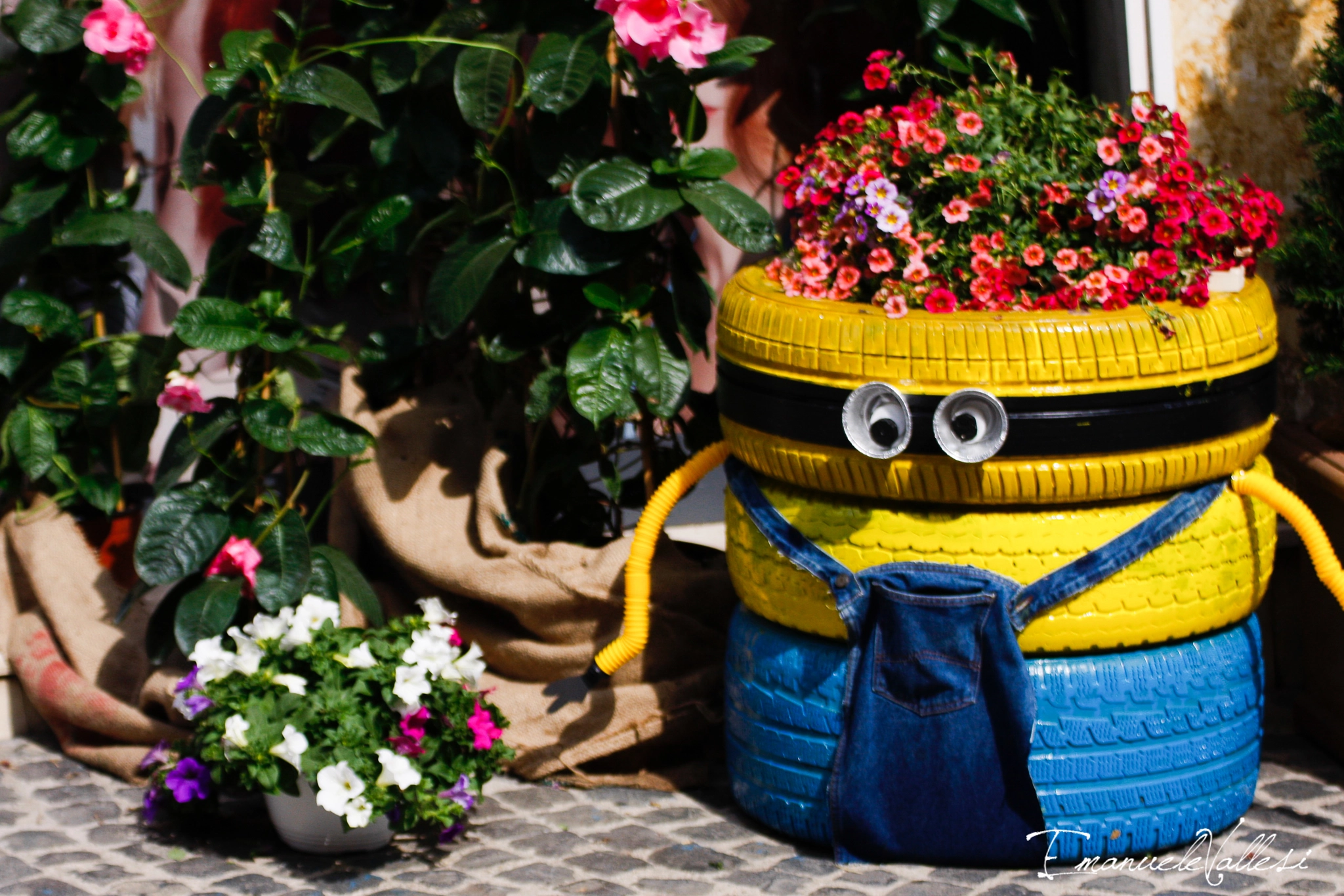 Canon EF 28-105mm f/3.5-4.5 USM sample photo. Minions job photography