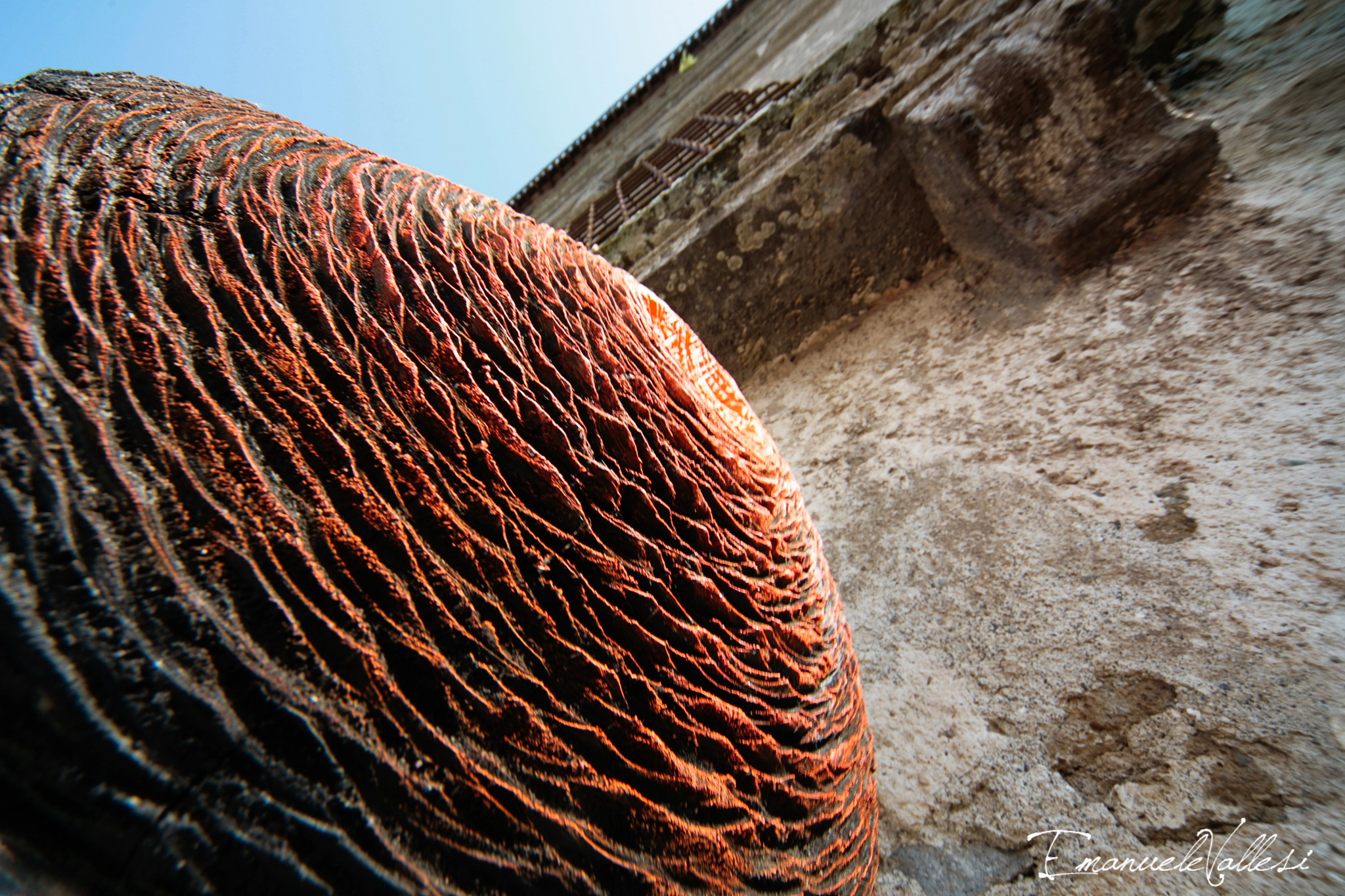 Canon EOS 5D sample photo. Sun... photography