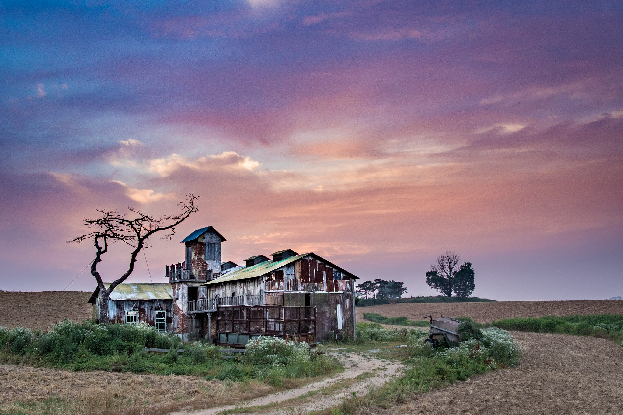 Canon EF 24mm F1.4L II USM sample photo. I took photo in ansung parm. korea landscape picture, 7d mark ii  photography