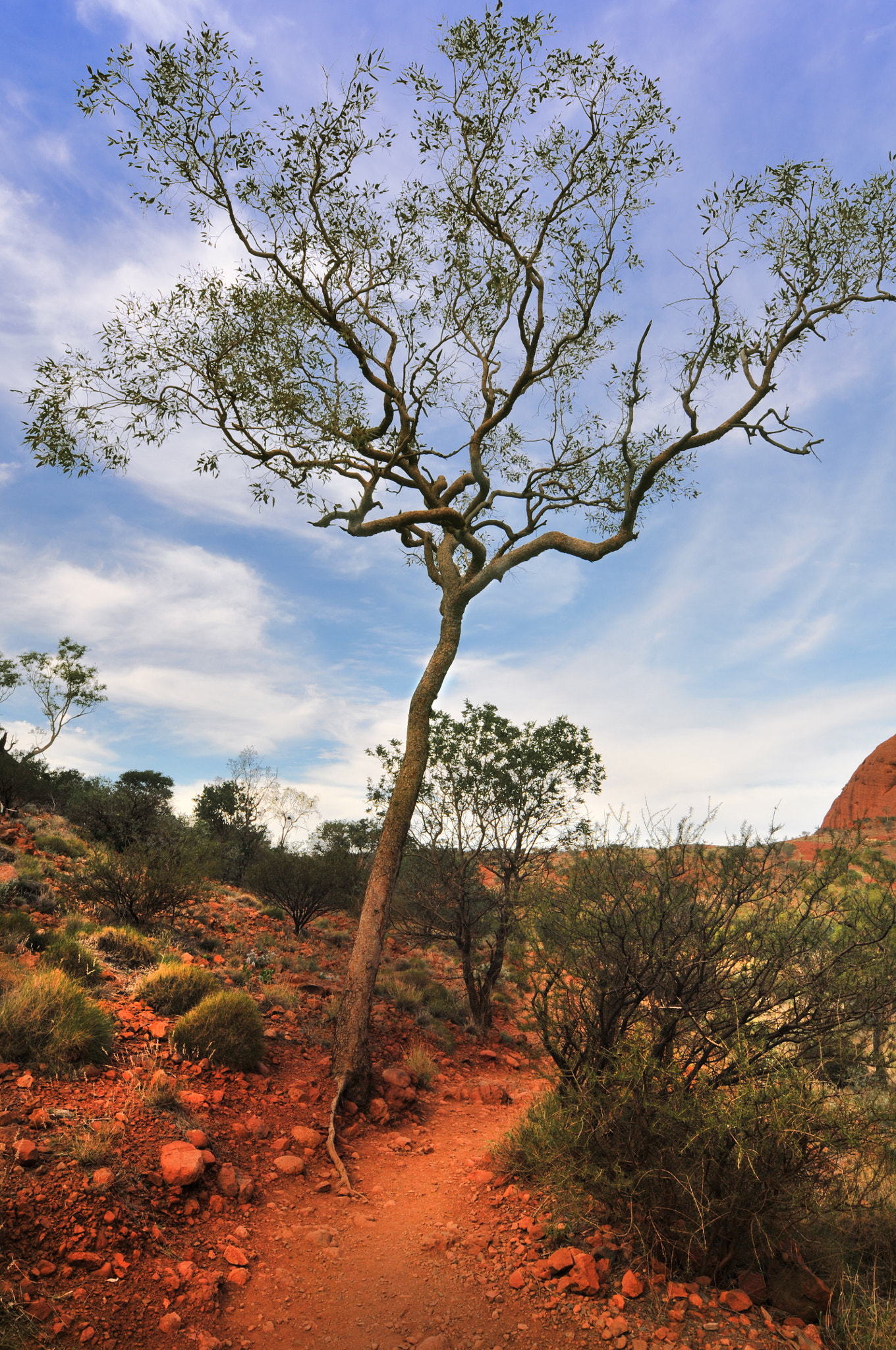 Nikon AF-S Nikkor 14-24mm F2.8G ED sample photo. Uluru photography