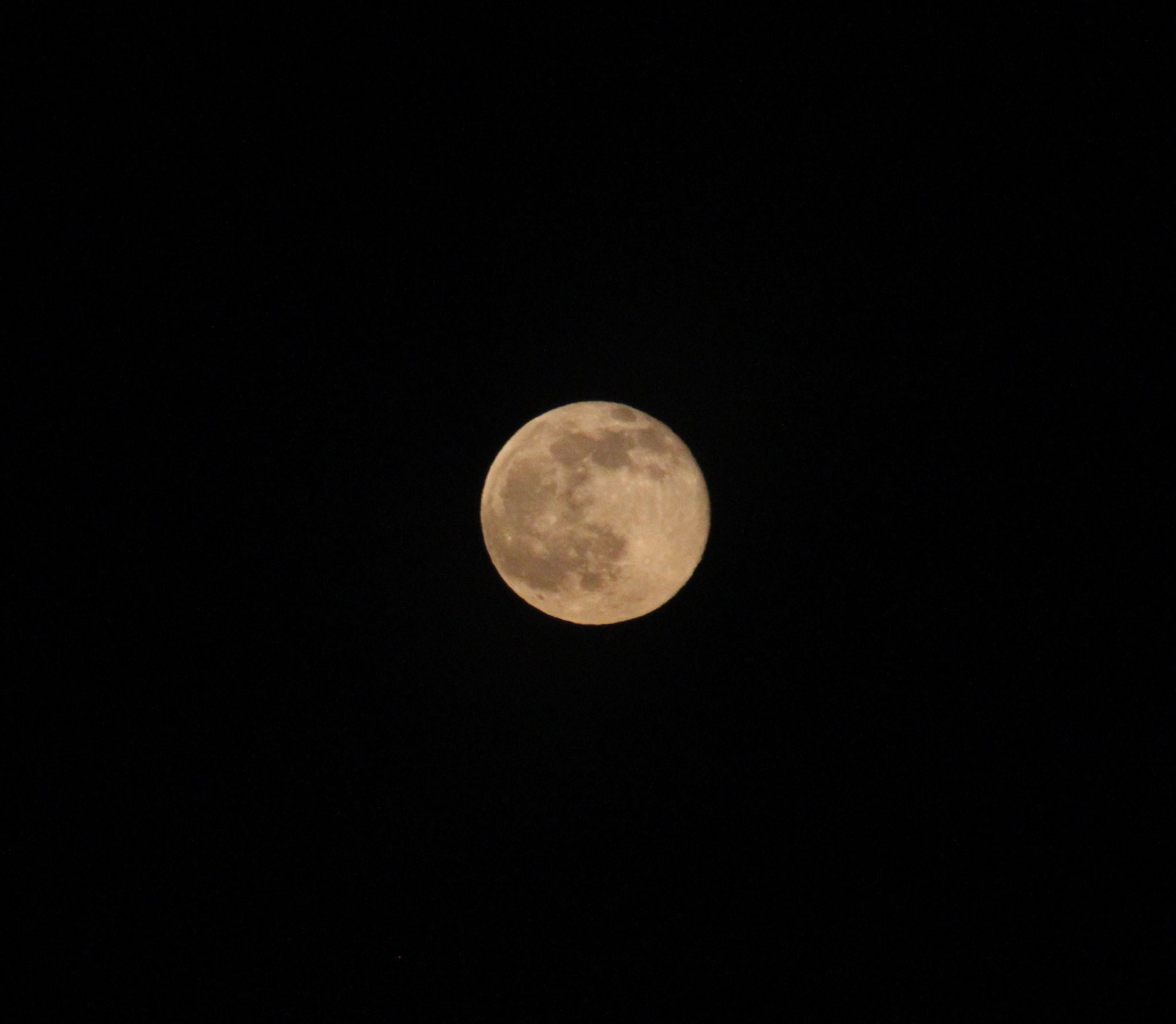 Canon EF75-300mm f/4-5.6 sample photo